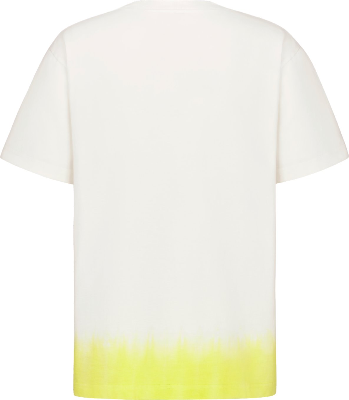 DIOR AND KAWS T-Shirt, Relaxed Fit Back view