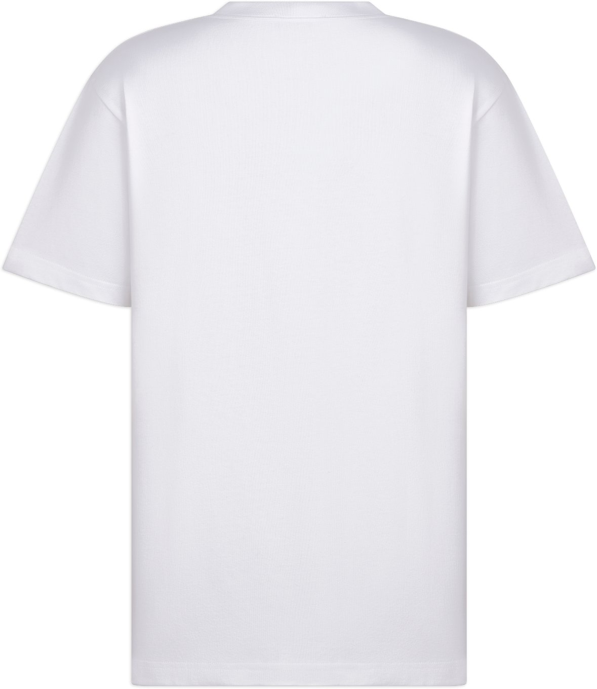 DIOR AND KAWS T-Shirt, Relaxed Fit Back view