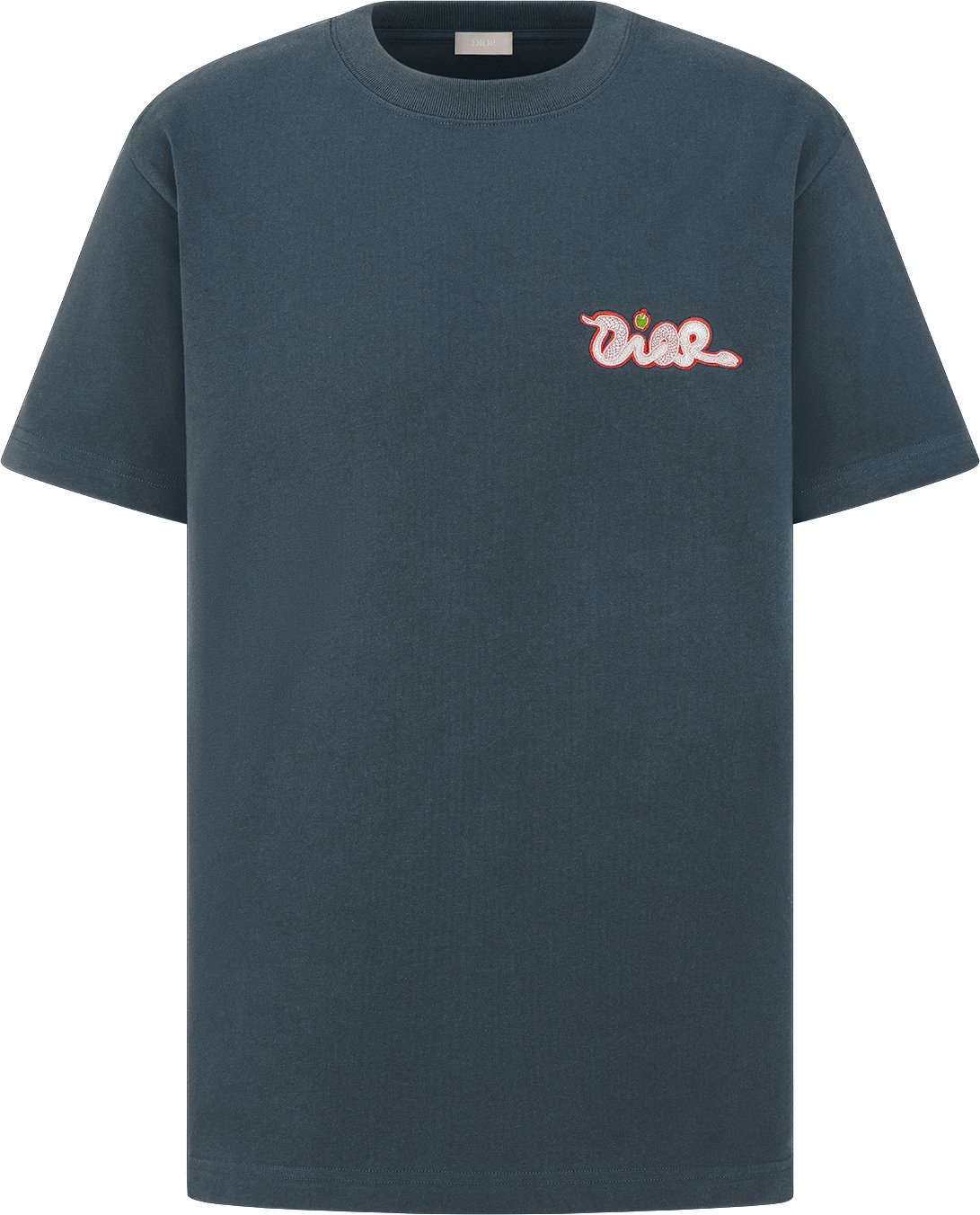 Kaws dior tee hot sale