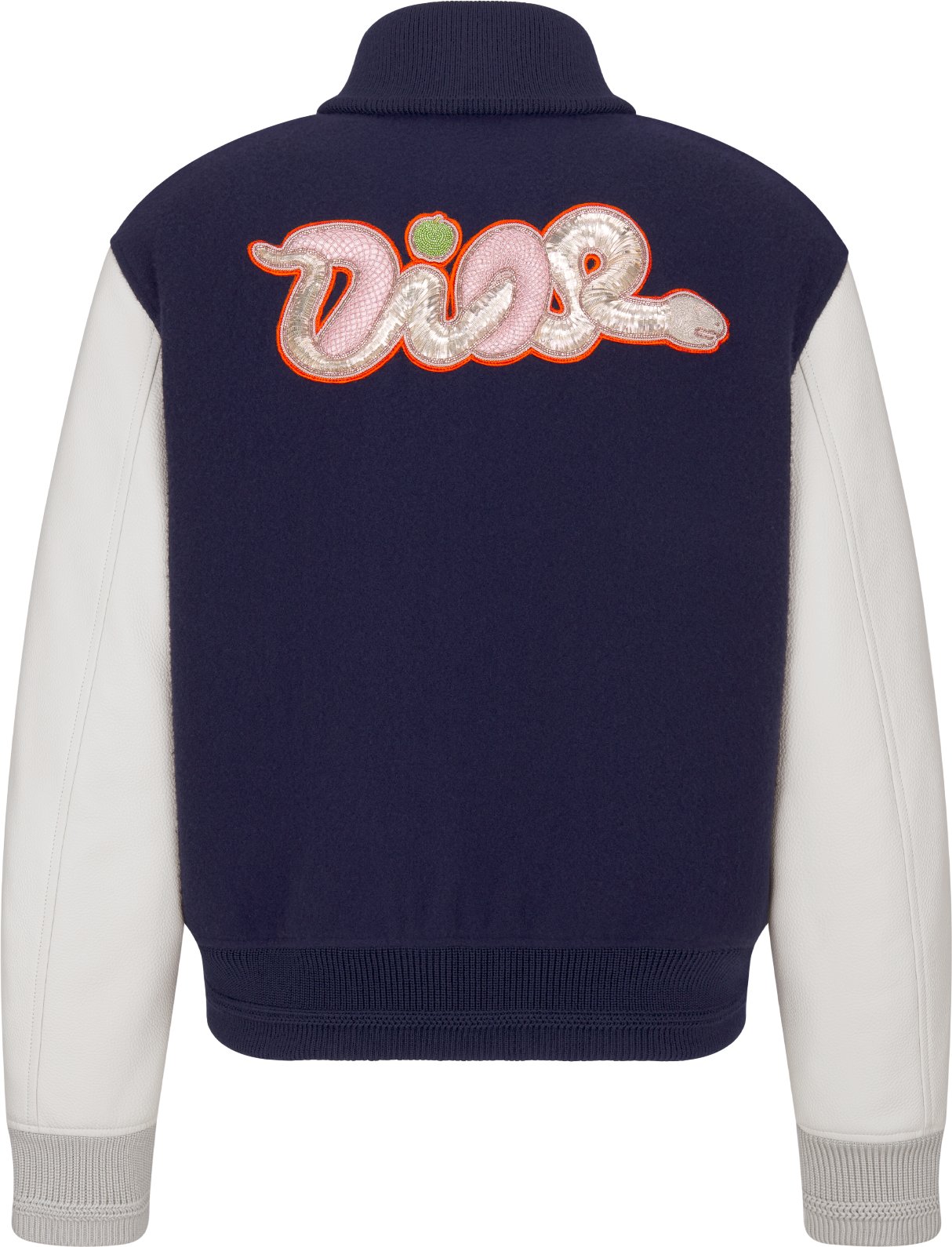 DIOR AND KAWS Varsity Jacket Back view