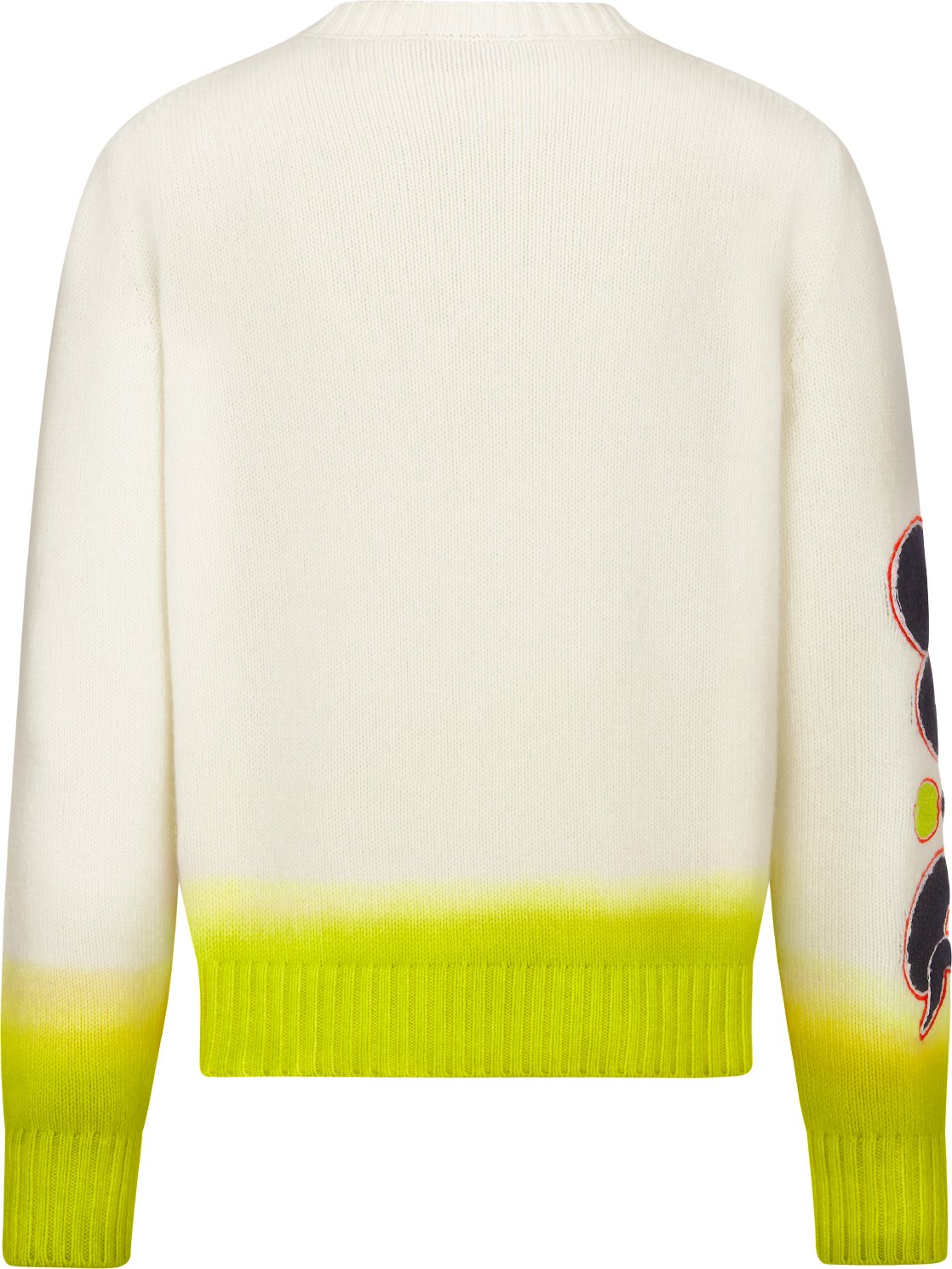 DIOR AND KAWS Sweater Back view