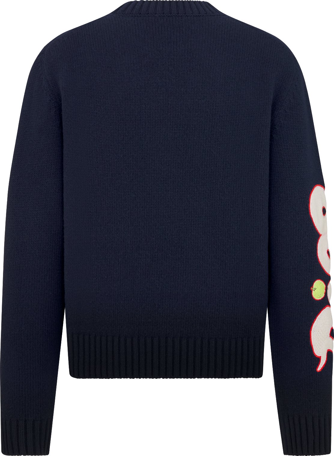 DIOR AND KAWS Sweater Back view