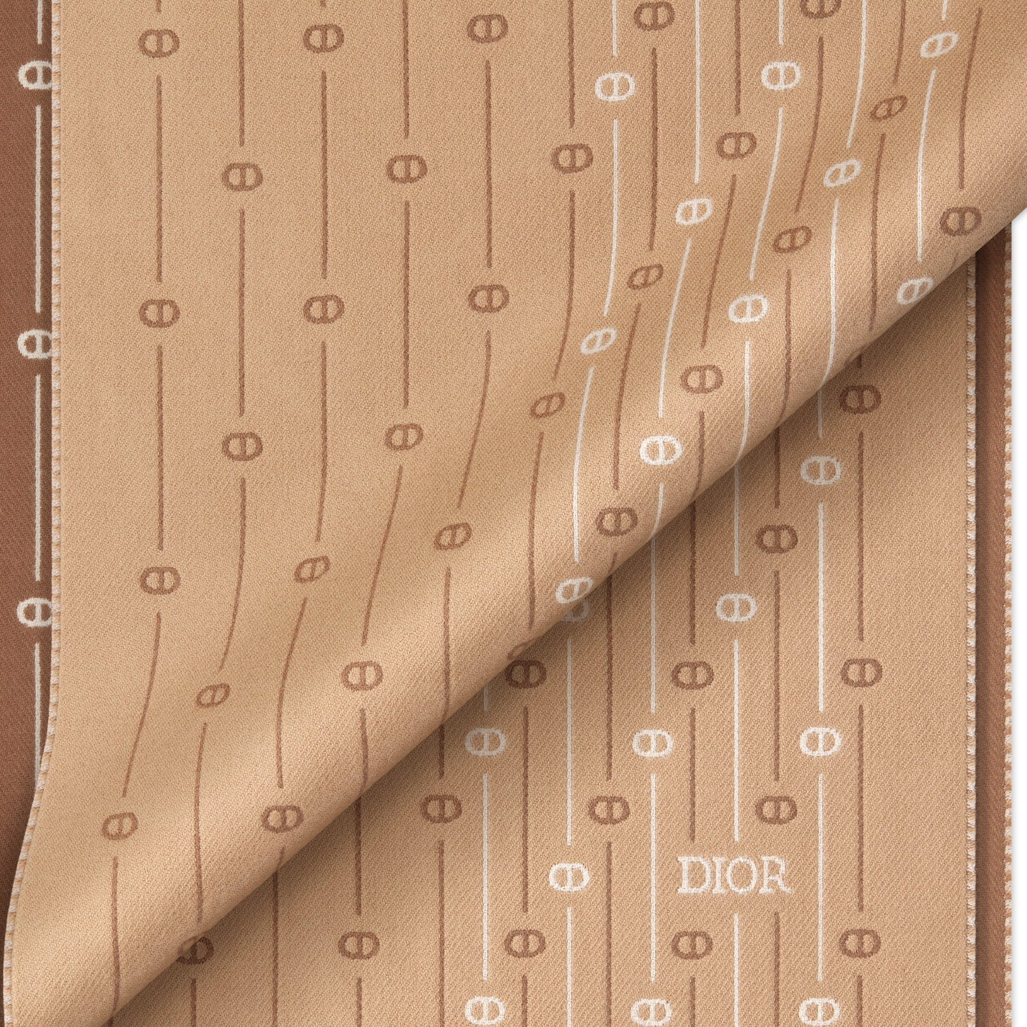 CD Icon Striped Scarf