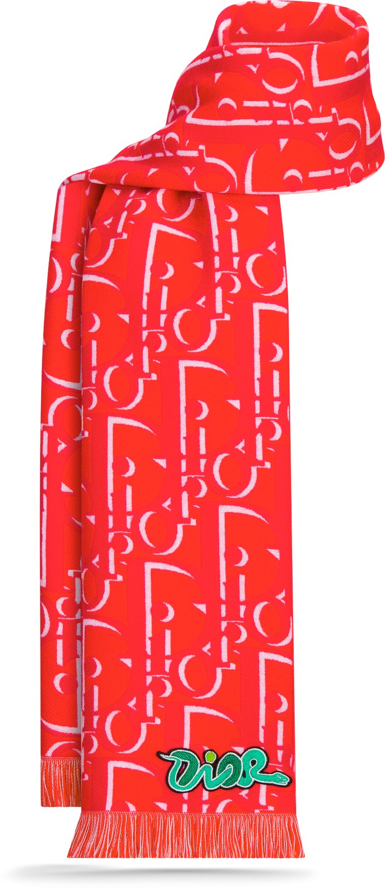 DIOR AND KAWS Scarf Front view