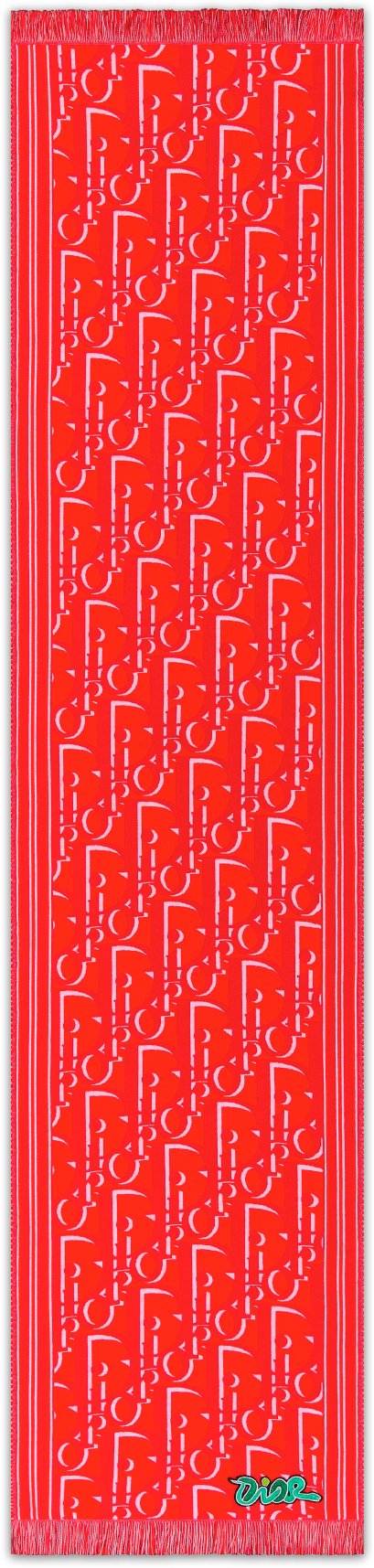 DIOR AND KAWS Scarf Unfolded view