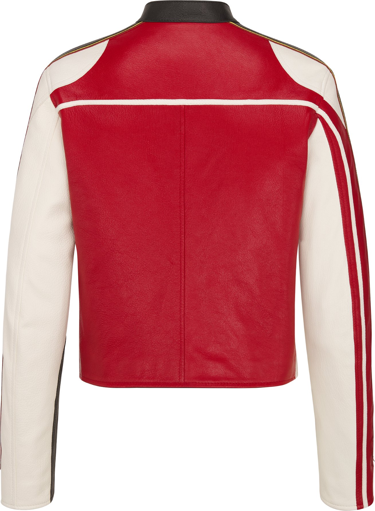 Motorcycle Jacket Back view