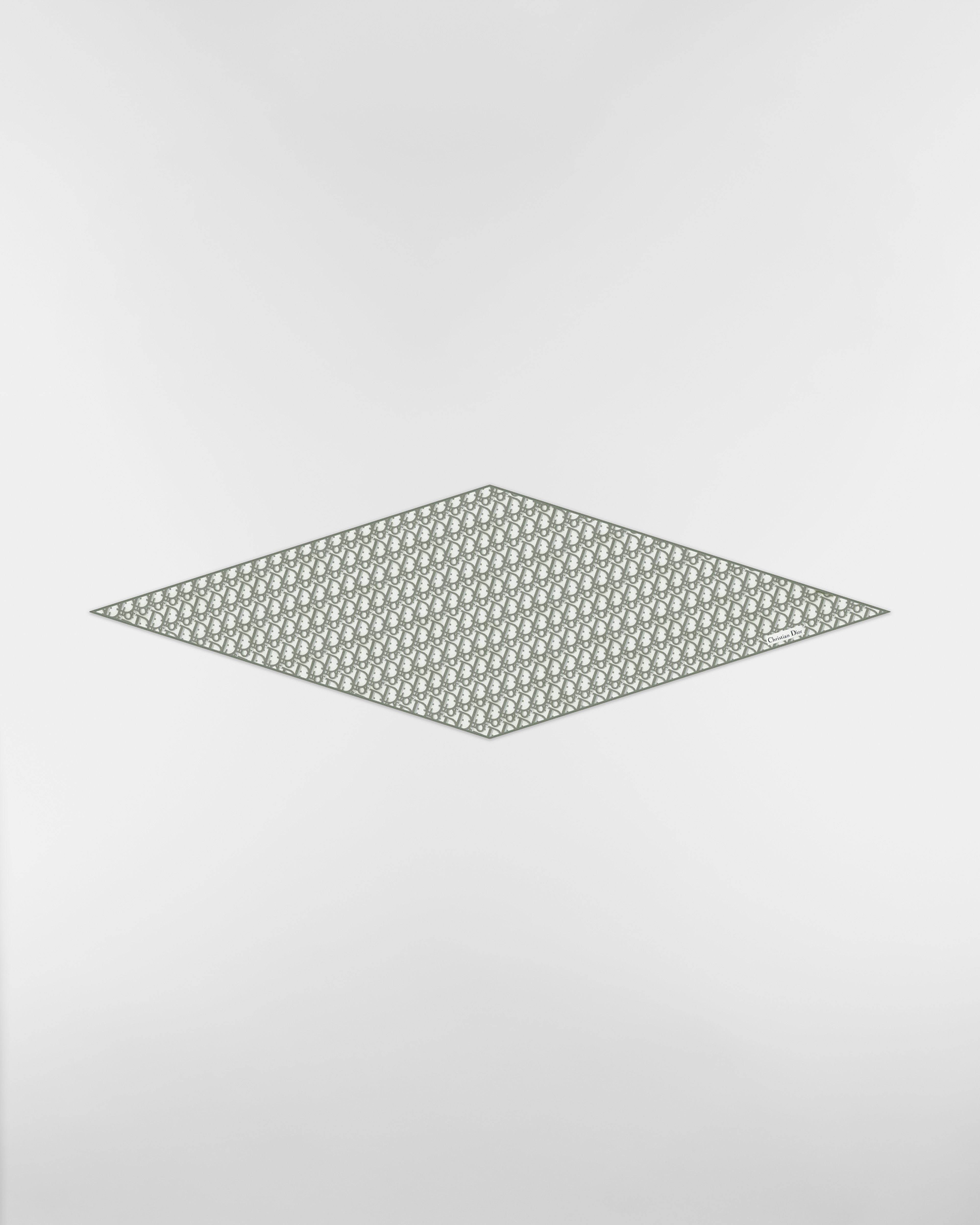Dior Diamond Dior Oblique Sarga de seda gris E01