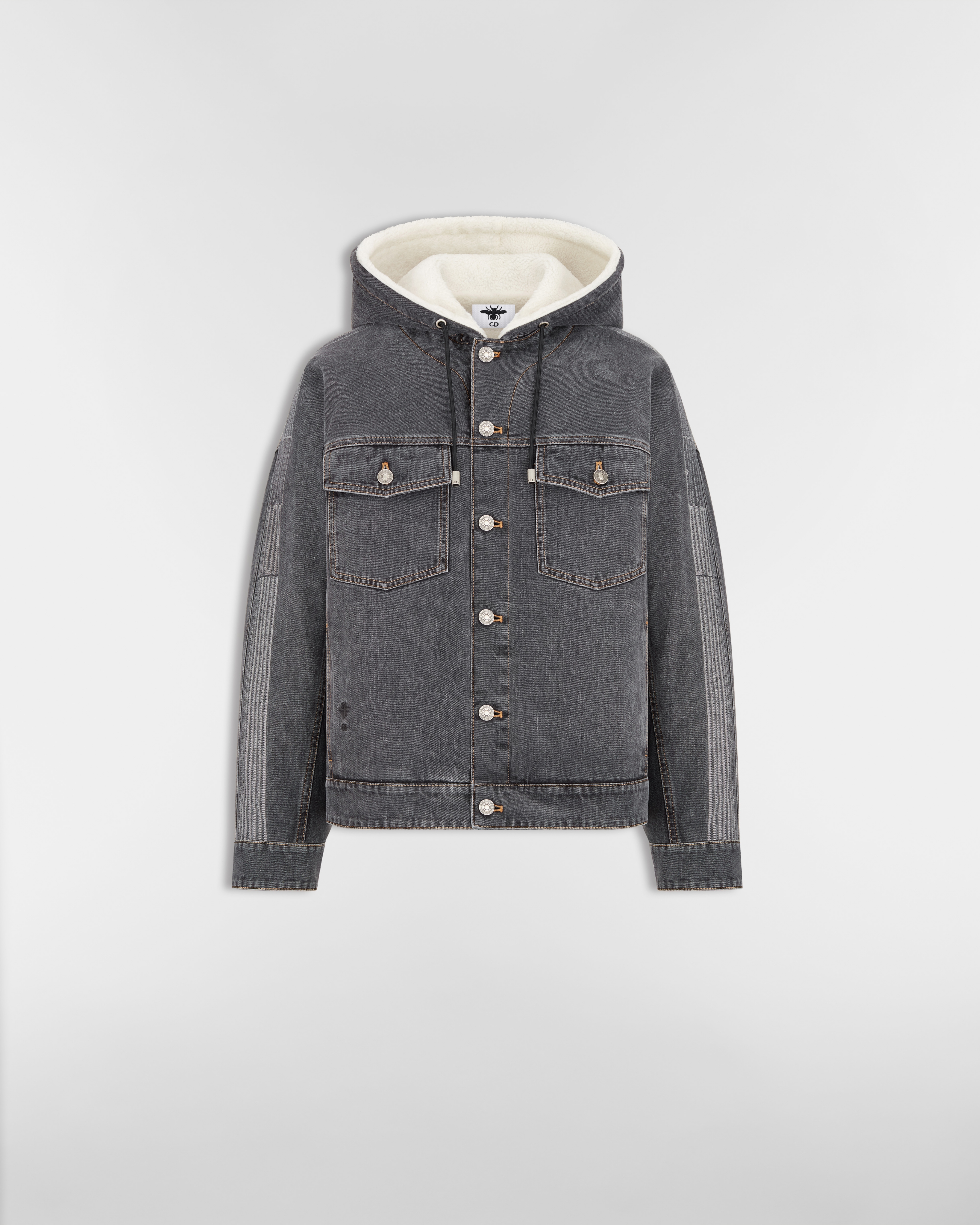 DiorAlps Oversized Hooded Jacket