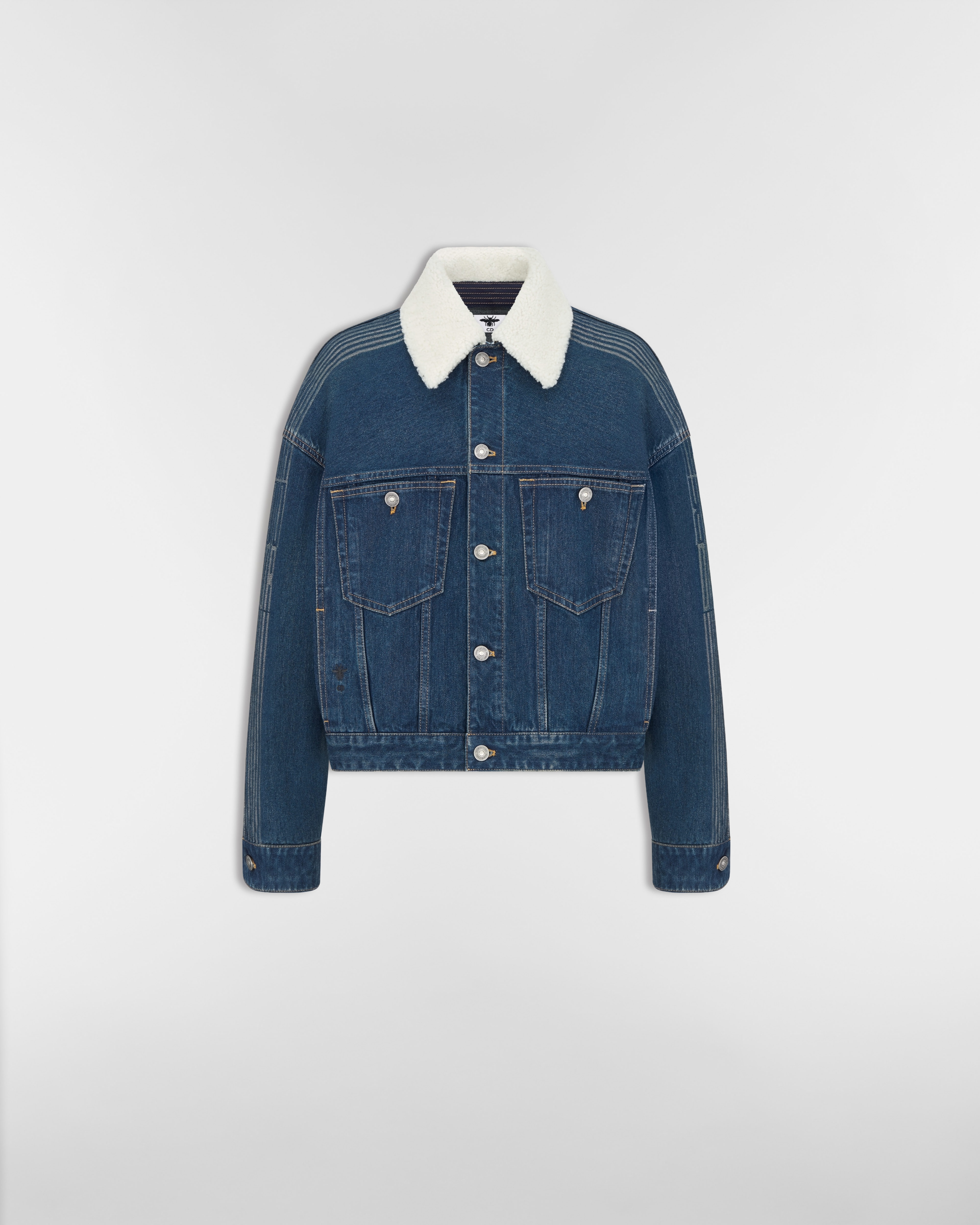 DiorAlps Oversized Jacket