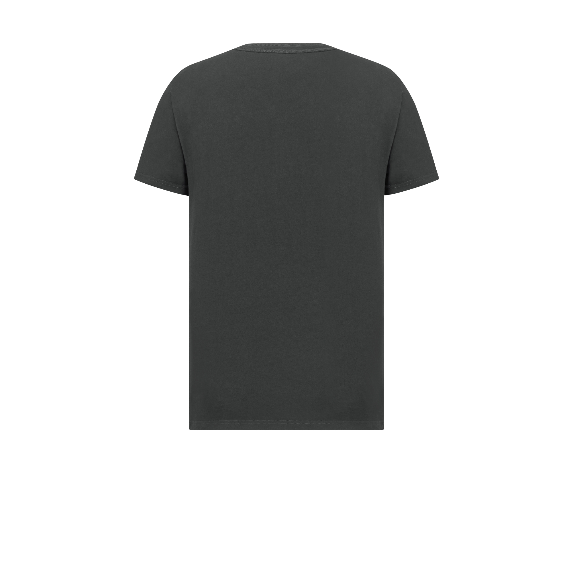 Diorling Tシャツ (レギュラー フィット) コットンジャージー E08