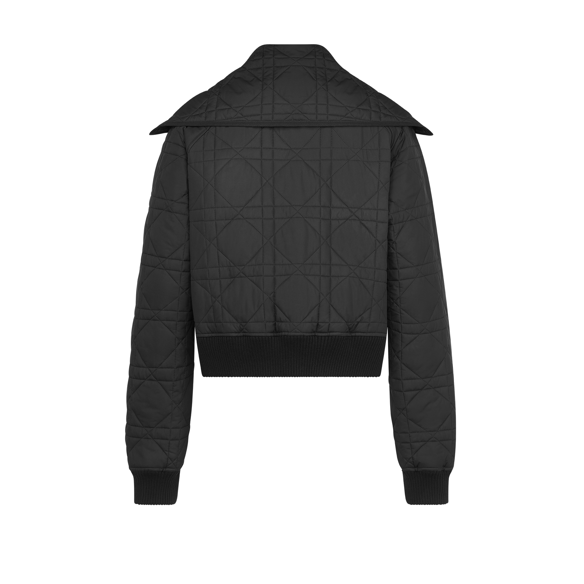 DIOR | オーバーサイズカラー付き ジャケット マクロカナージュ