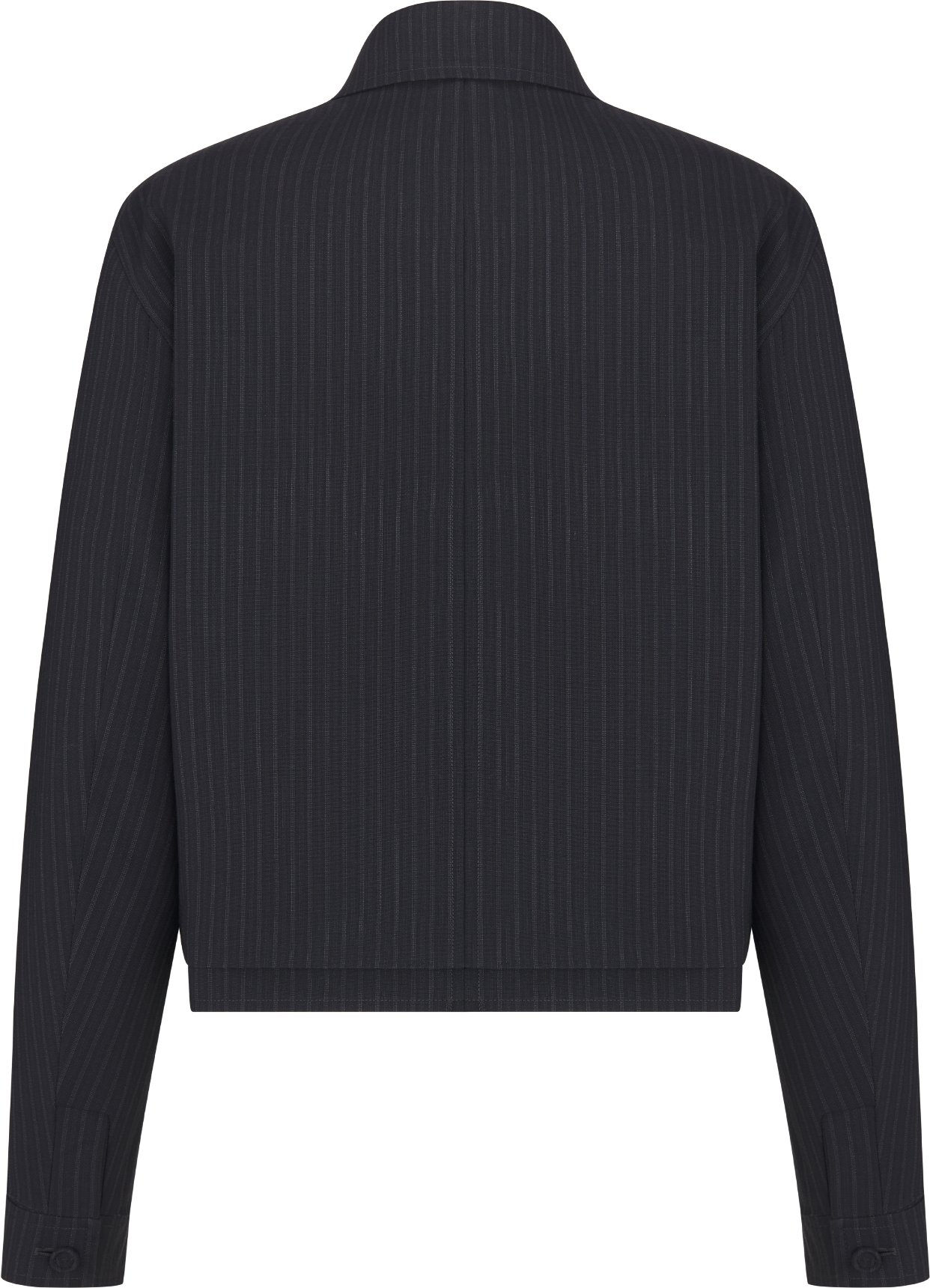Jacket with Spread Collar Back view