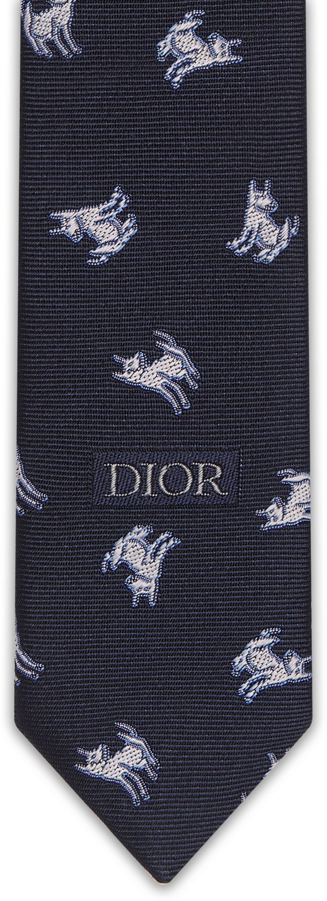 Cravate DIOR AND HYLTON NEL Vue détaillée