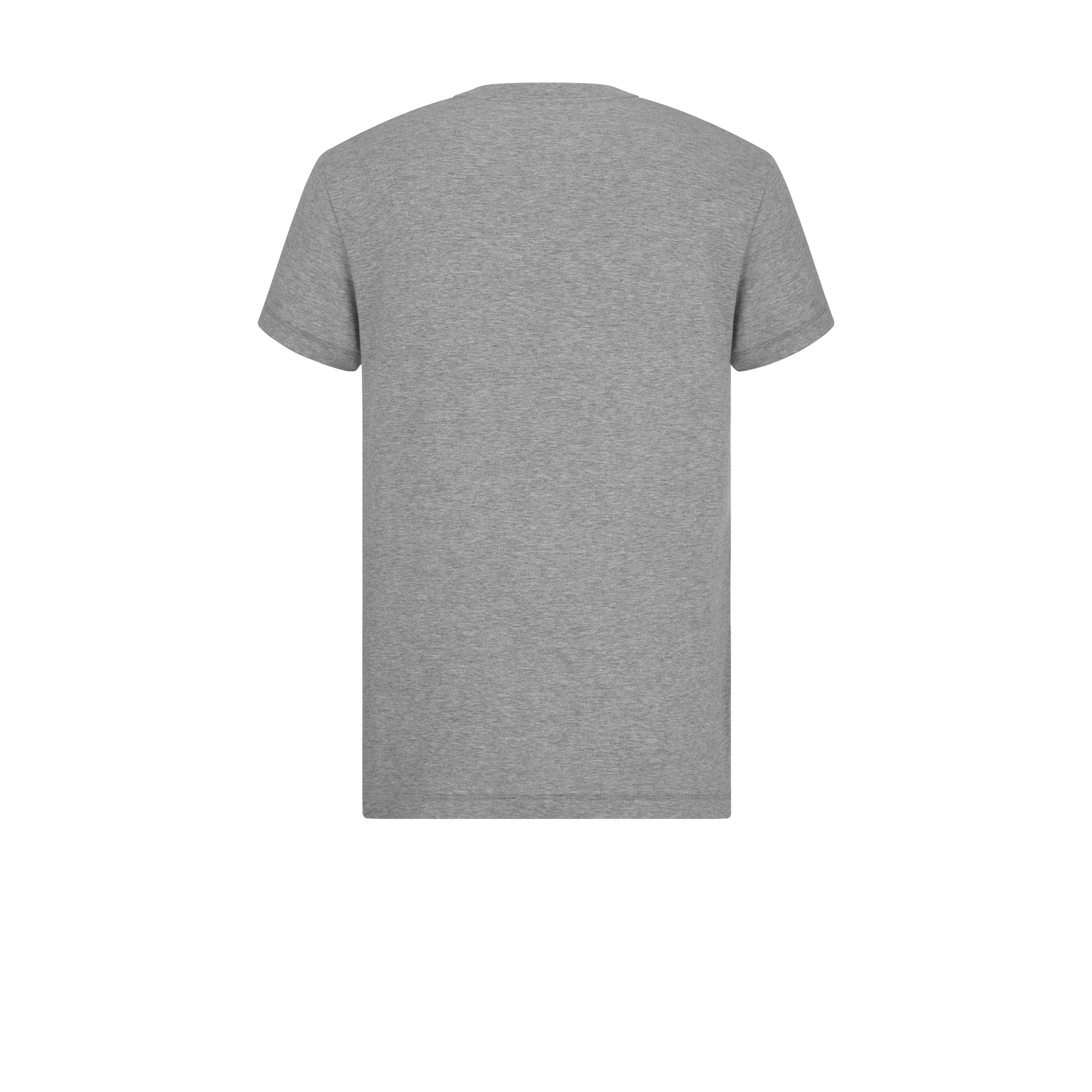 Regular-fit T-shirt met Dior Montaigne-kenmerk Grijze katoenjersey E08
