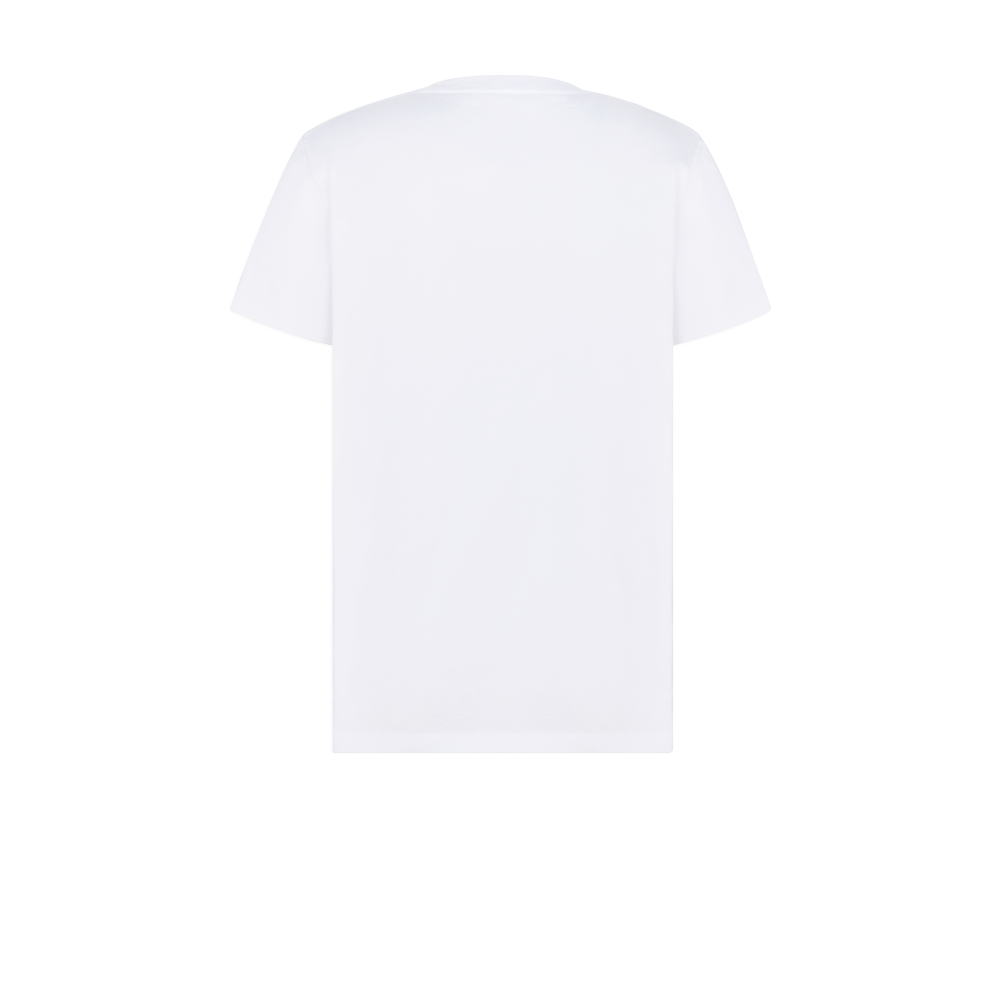 Dior Heritage Printed T-Shirt, Regular Fit White Stonewashed Cotton Jersey E08
