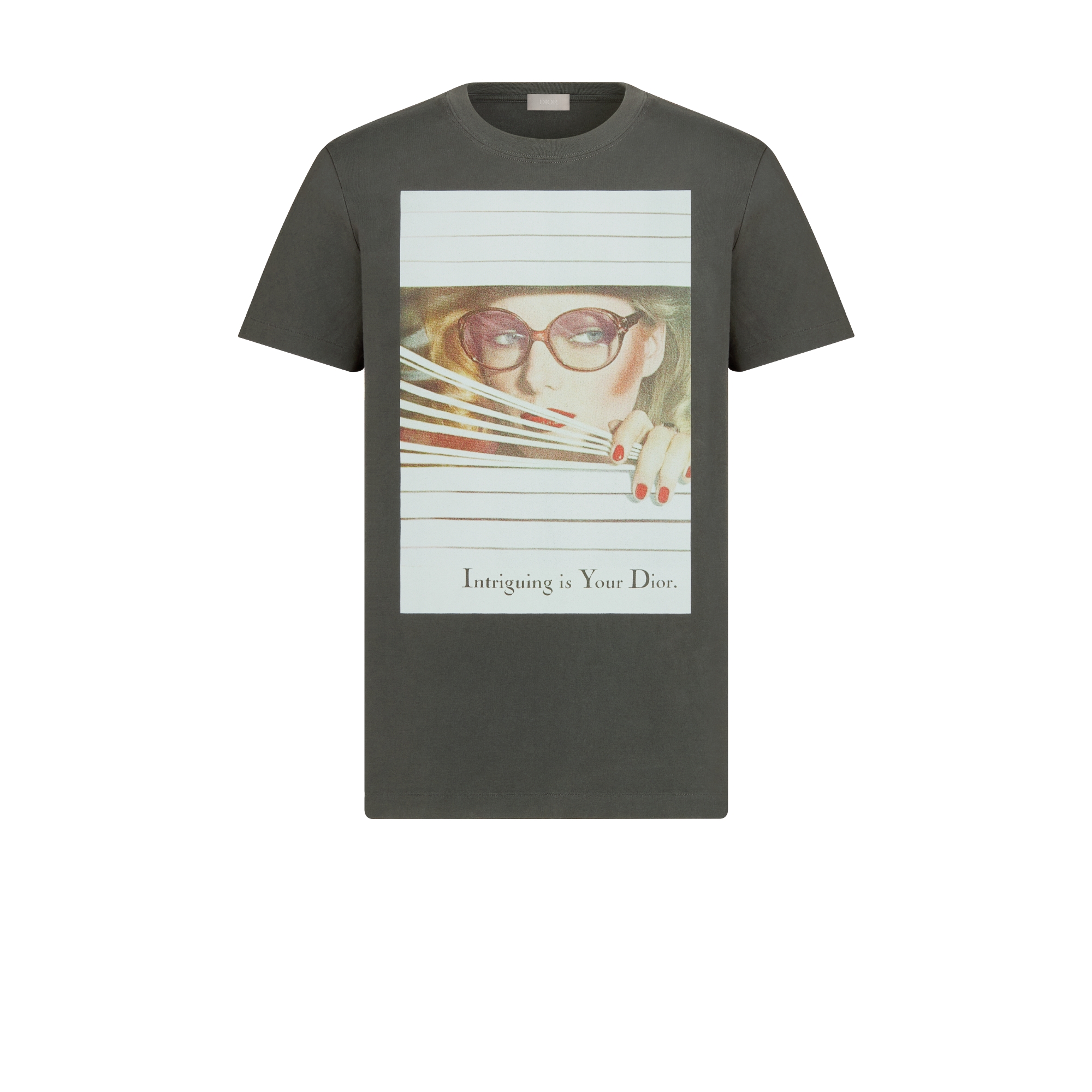 Dior Heritage Tシャツ (レギュラー フィット) コットンジャージー E01