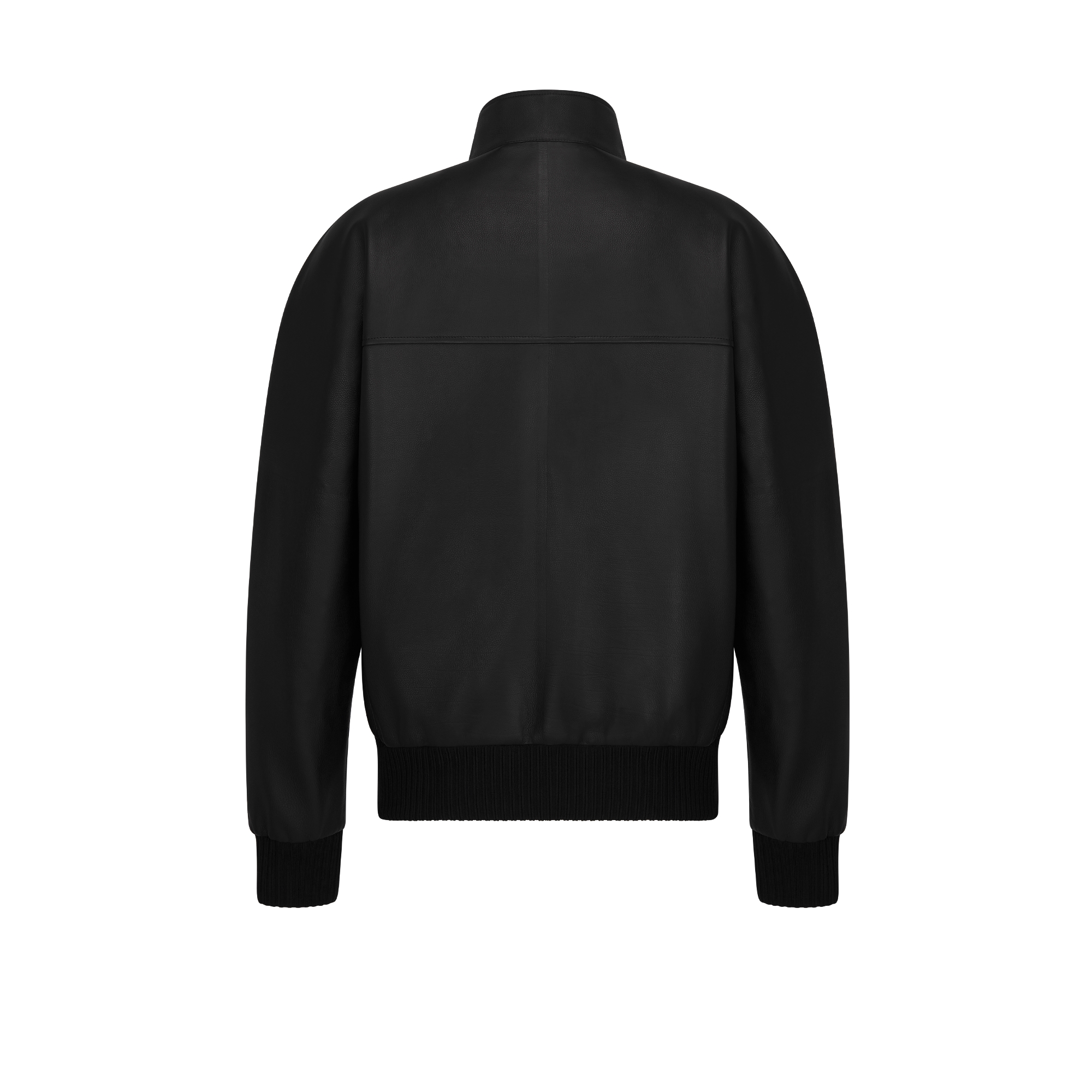 Dior Icons Blouson Jacket Black Calfskin E08