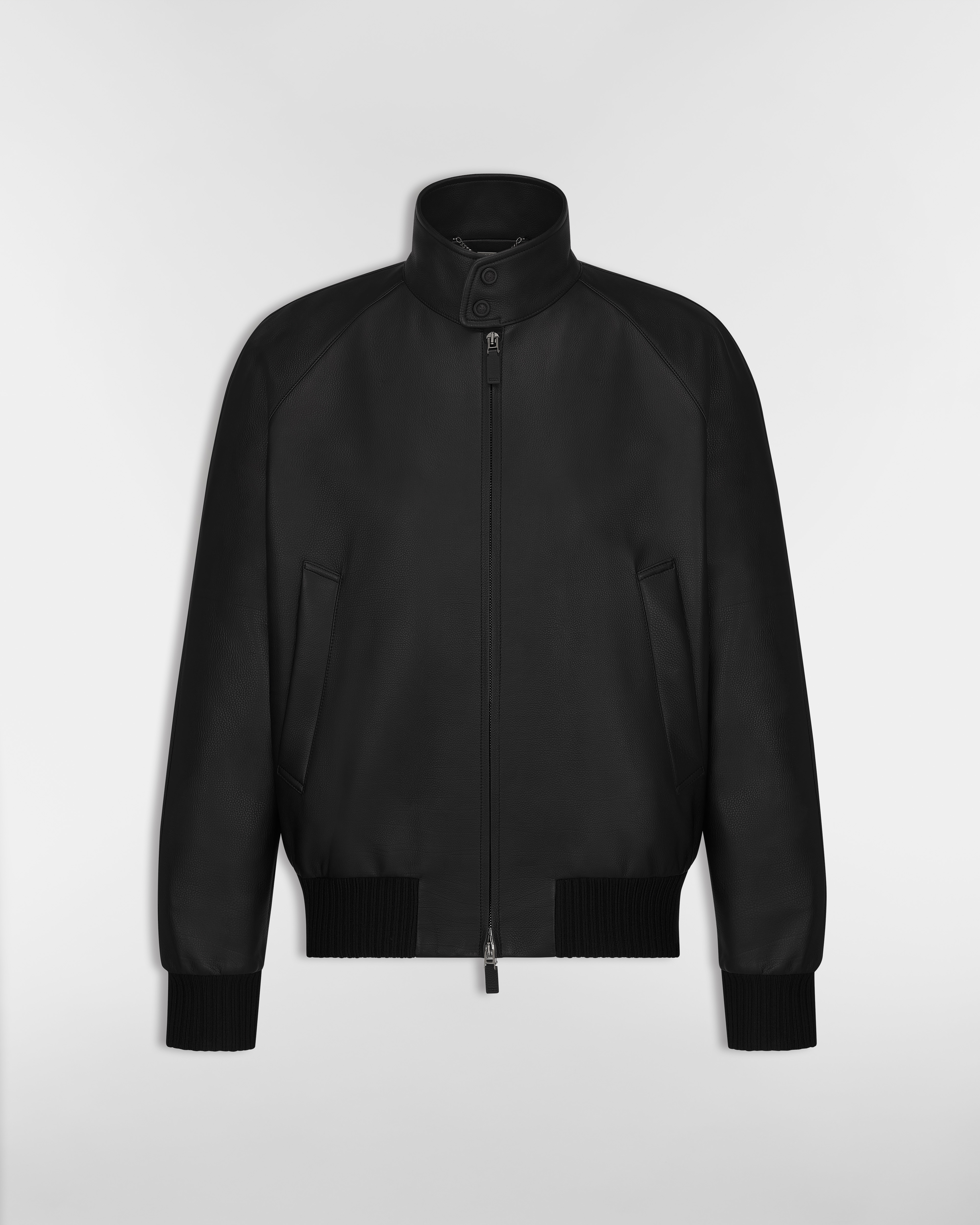 Dior Icons Blouson Jacket Black Calfskin E01