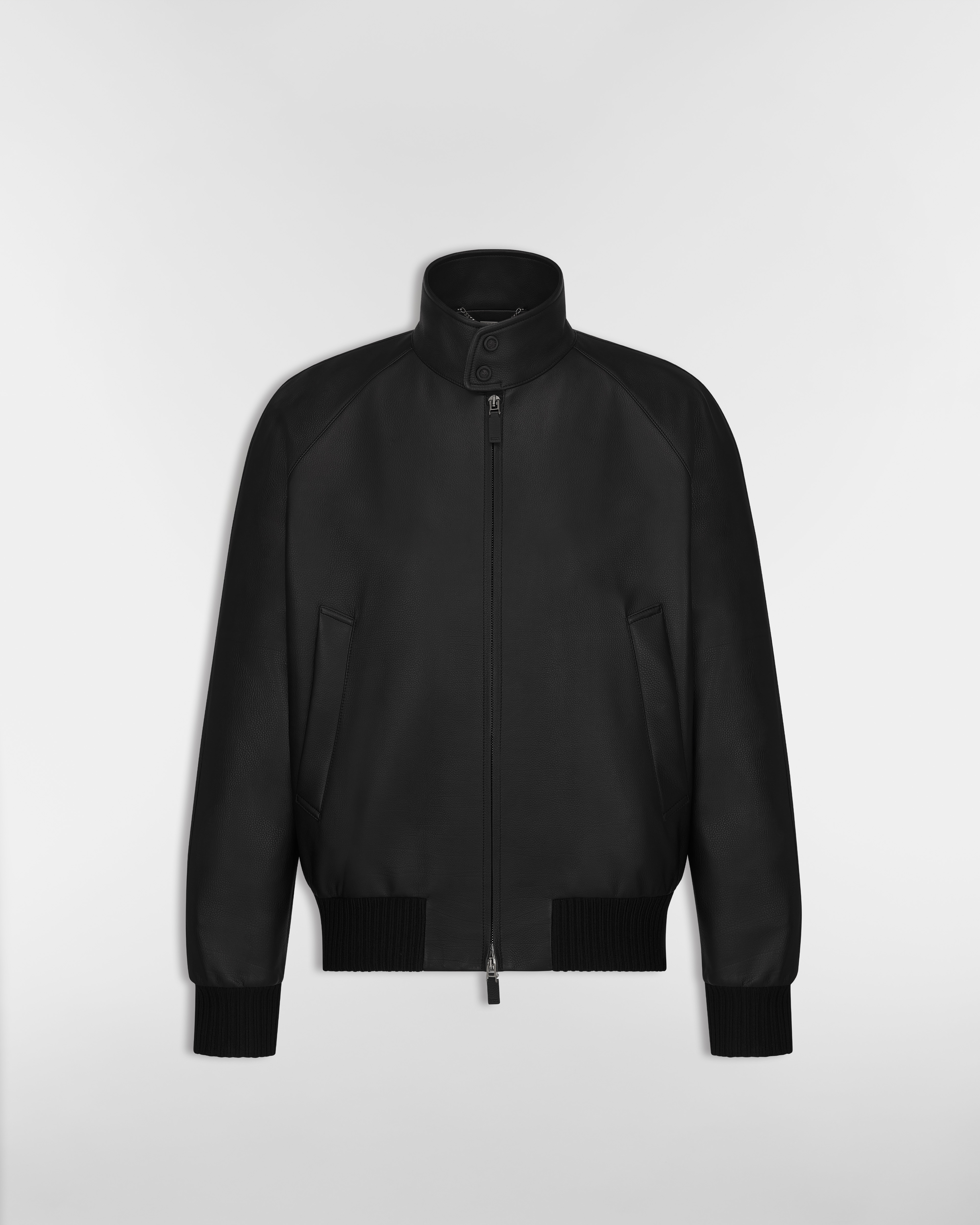 Dior Icons Blouson Jacket Black Calfskin E01