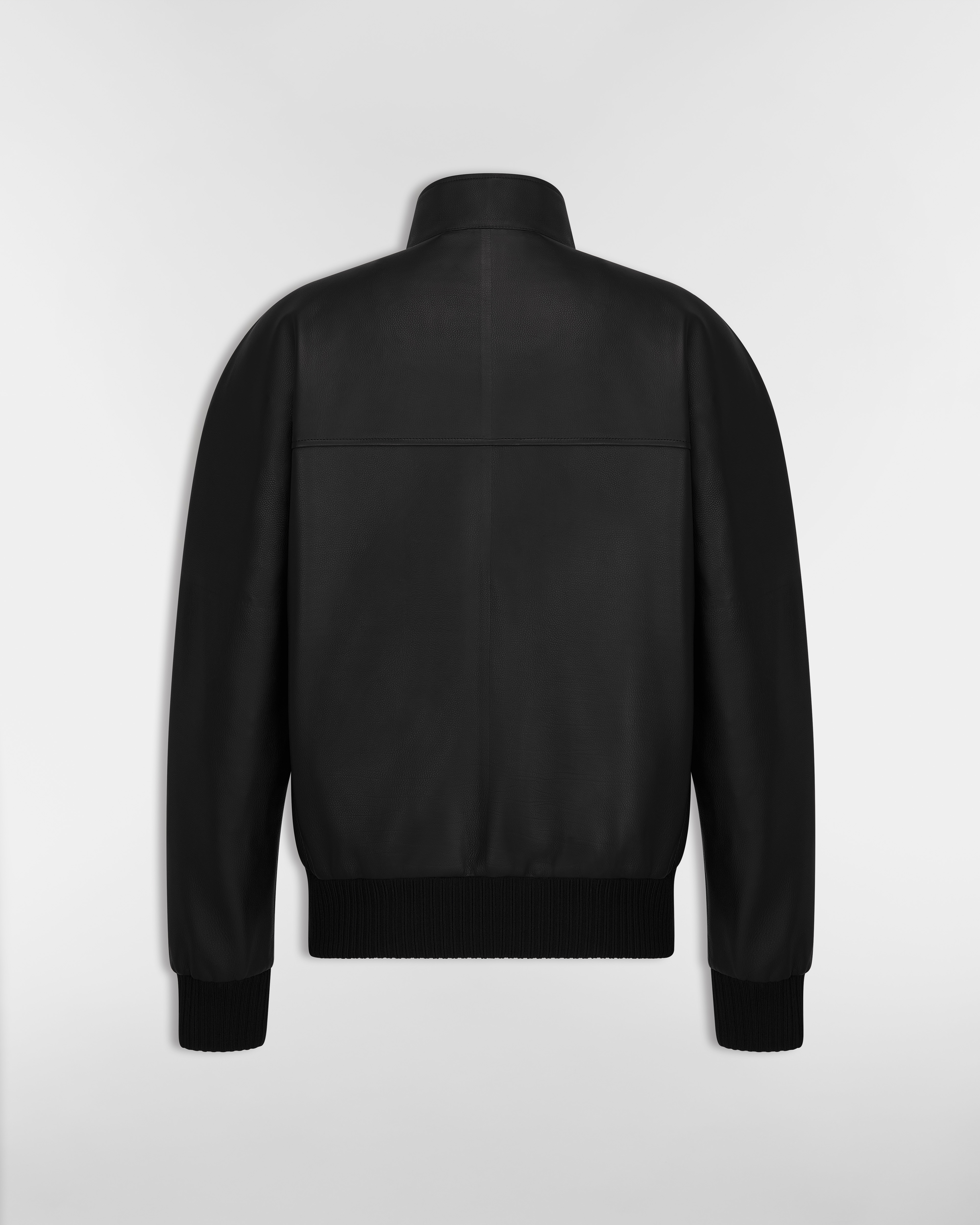 Dior Icons Blouson Jacket Black Calfskin E08