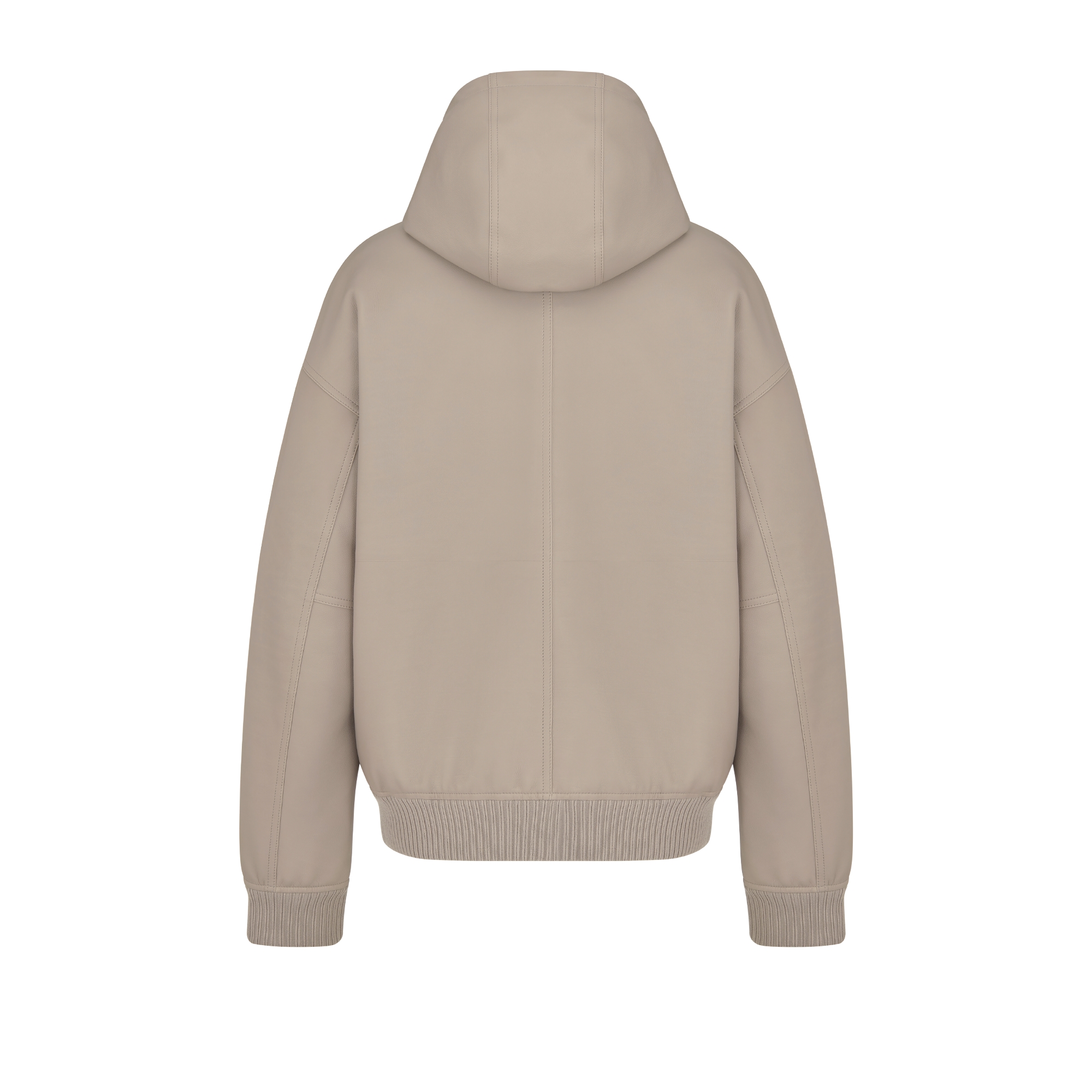 Dior Icons Hooded Blouson Jacket