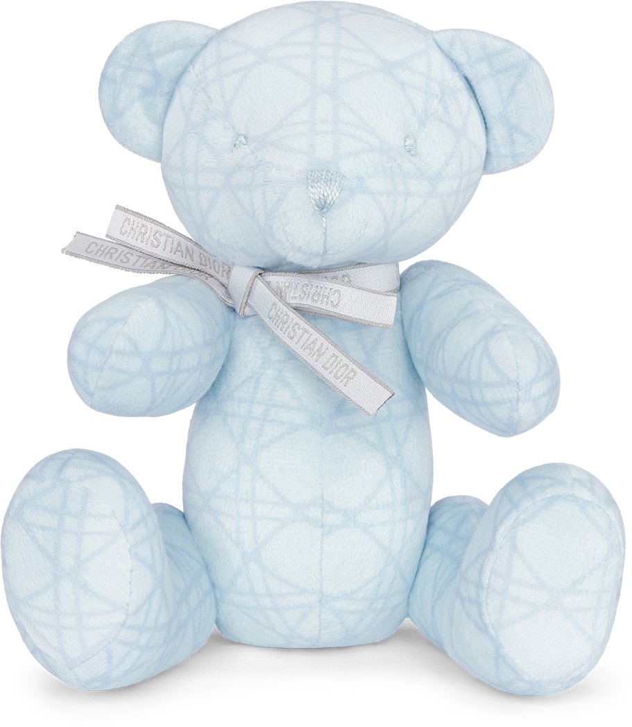 Teddy Bear Front view