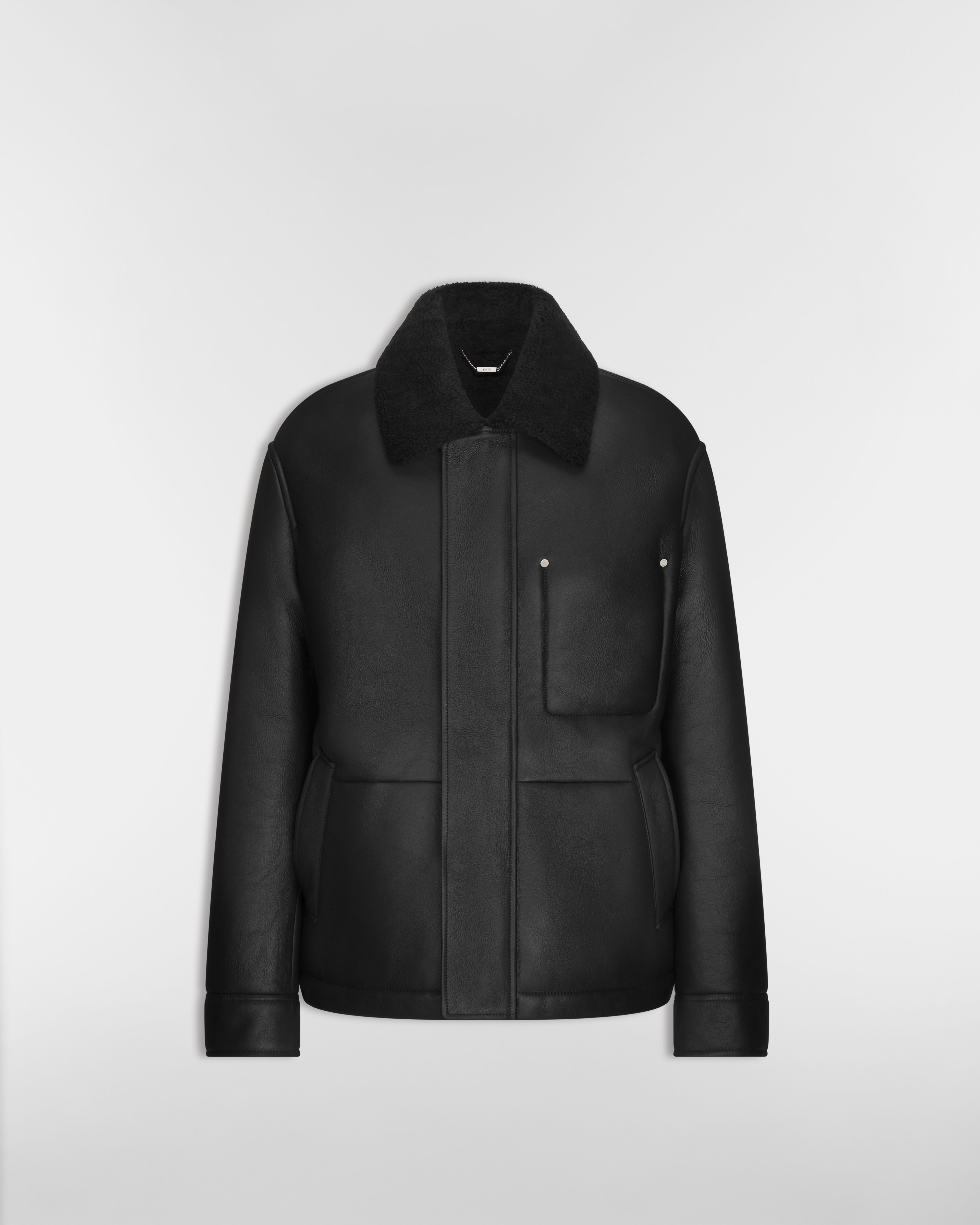 Dior Icons Parka