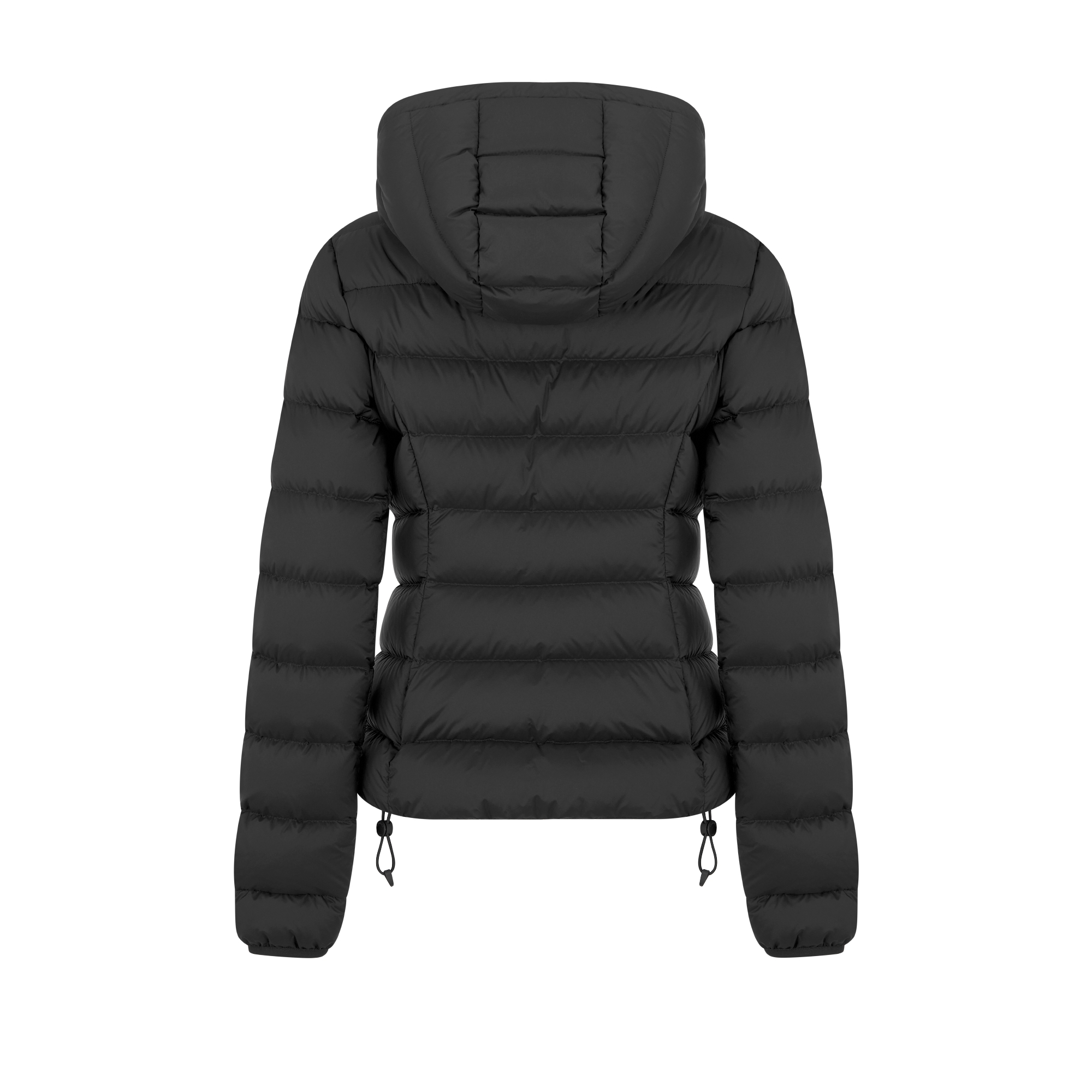DiorAlps Hooded Down Jacket Black Quilted Technical Taffeta E08