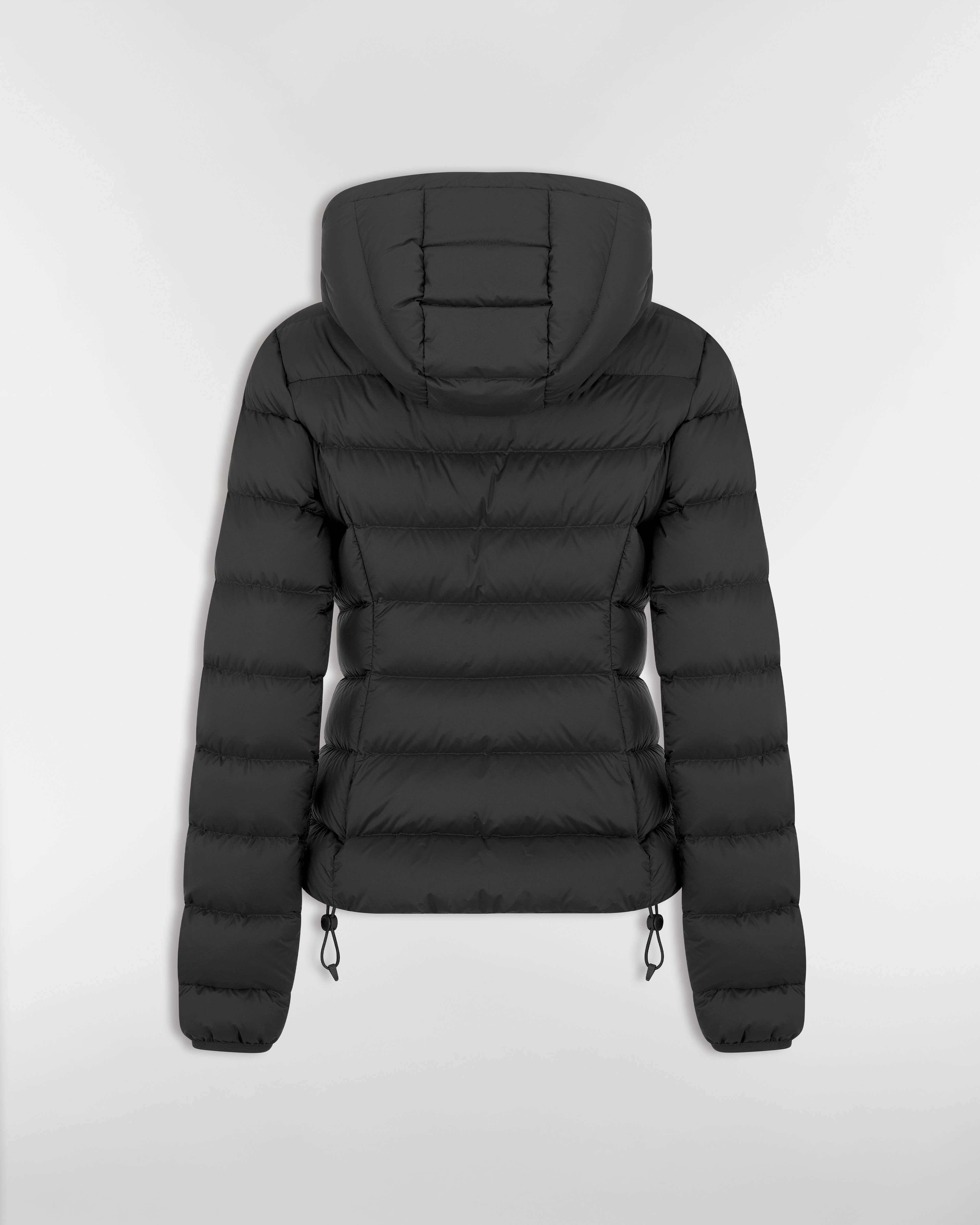DiorAlps Hooded Down Jacket Black Quilted Technical Taffeta E08