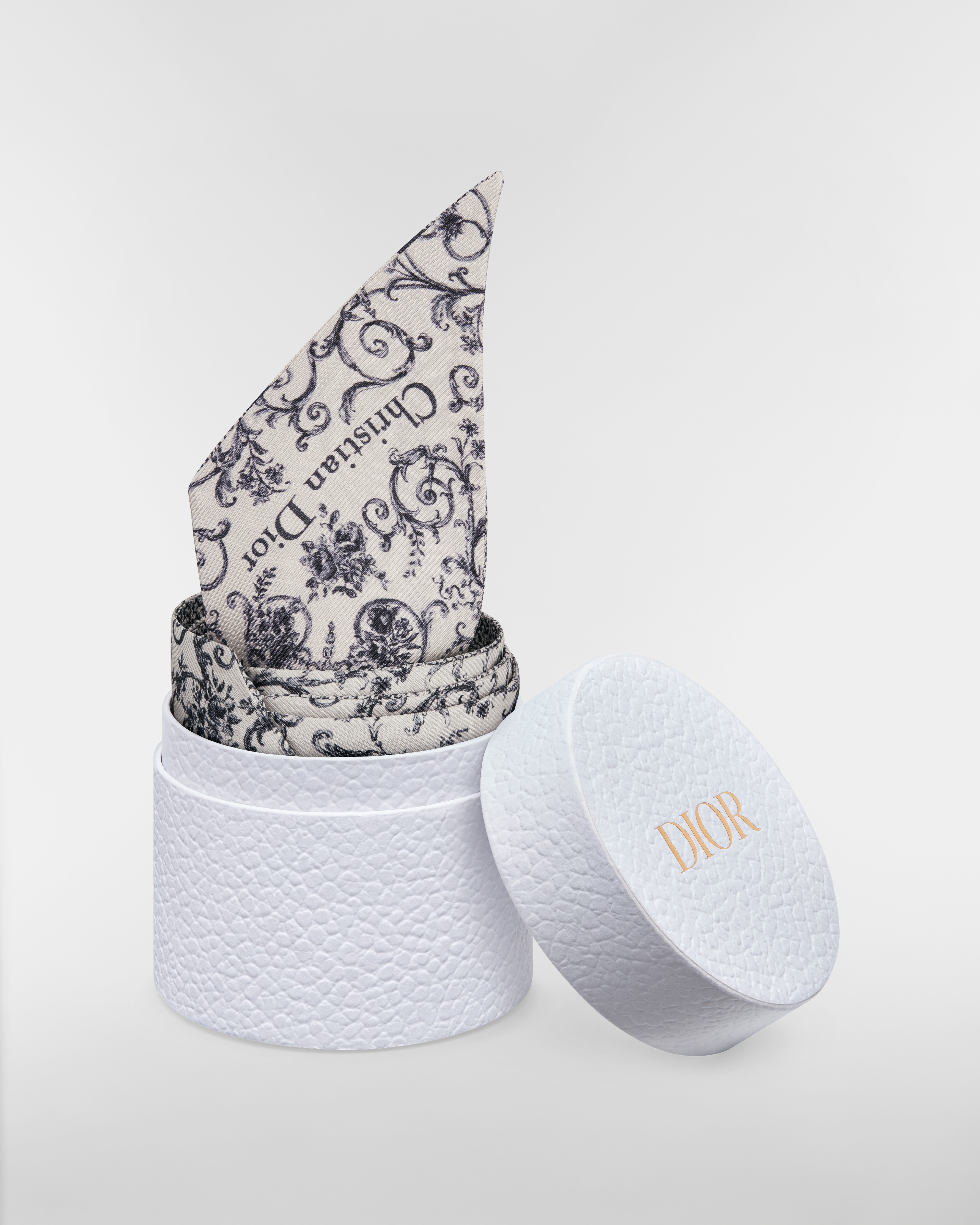 Dioresque Butterfly Mitzah Scarf White and Gray Silk Twill E10