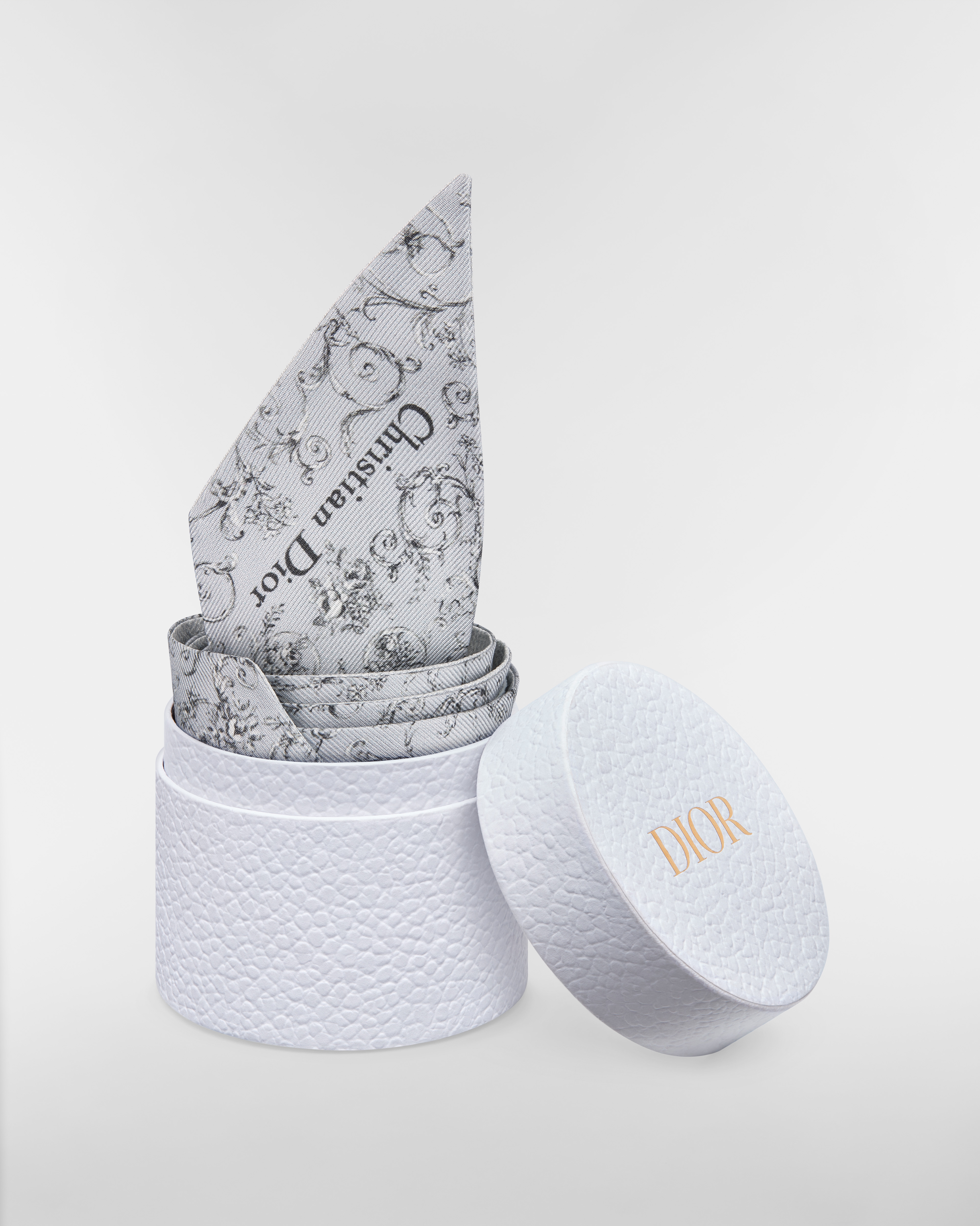 Dioresque Butterfly Mitzah Scarf Light Gray Silk Twill E10