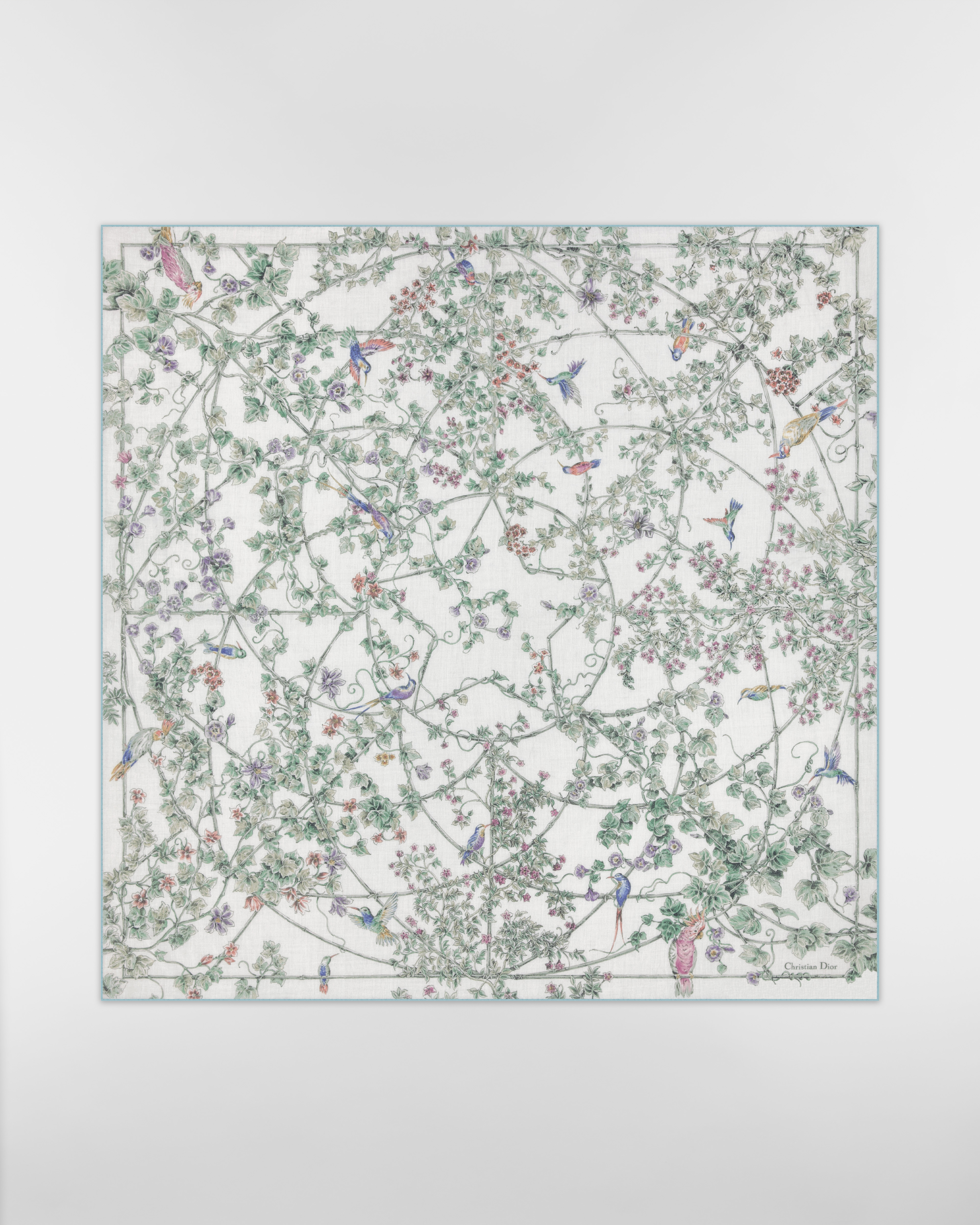 Dior 印花披肩 多色山羊绒面料 Jardin D-Étoile 图案 E01