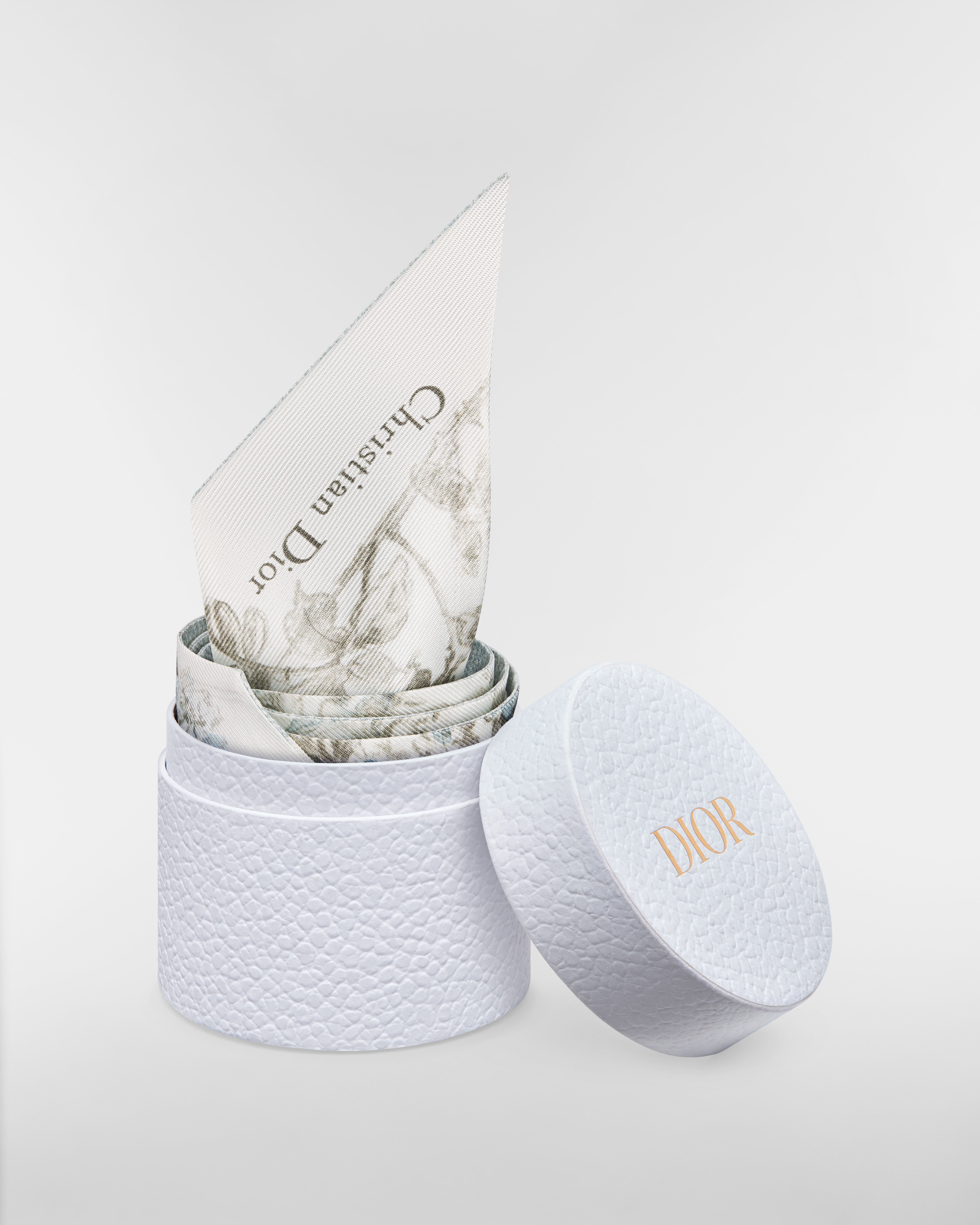 Rosier de Dior Mitzah Scarf White and Azure Blue Silk Twill E10