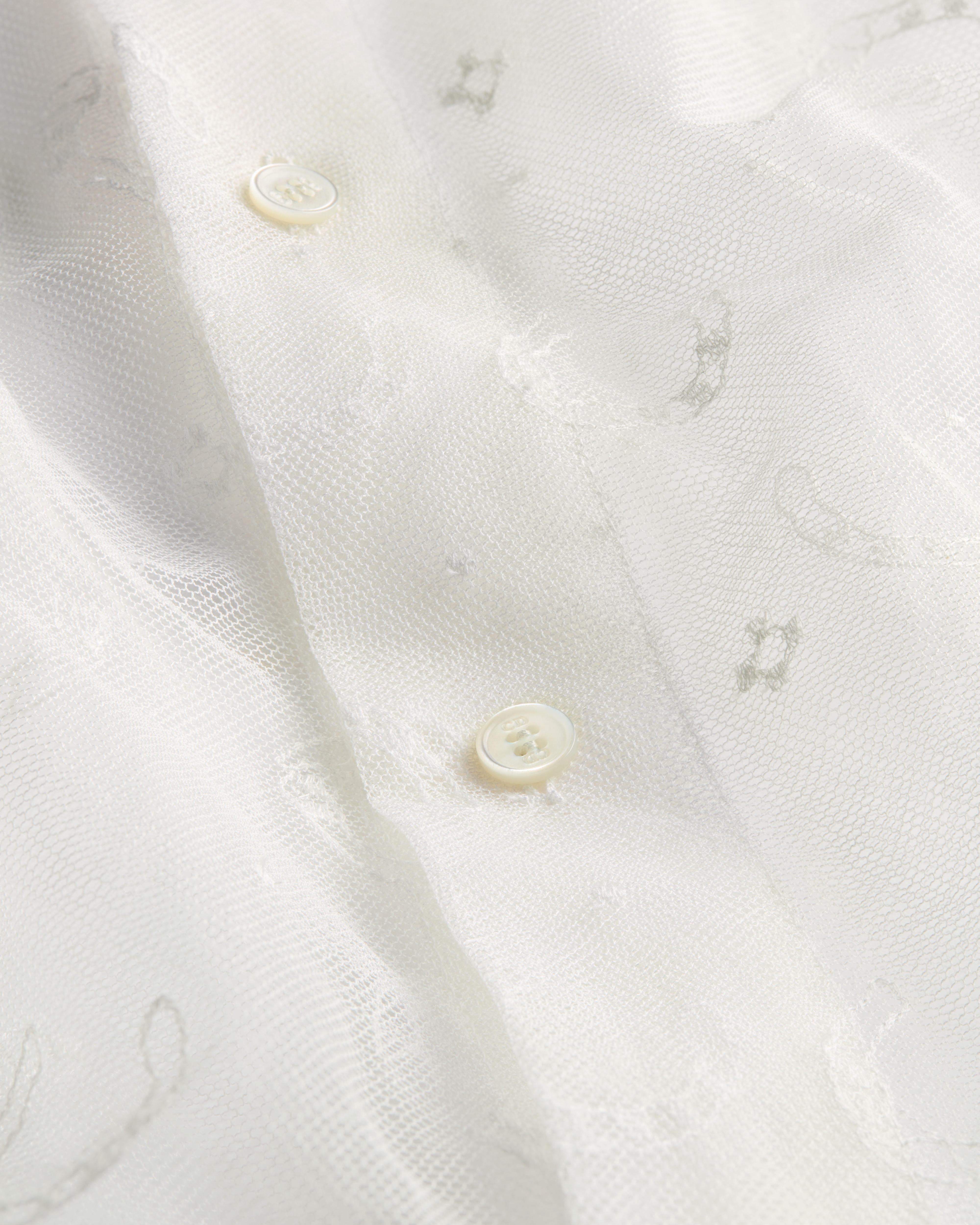Embroidered Sheer Blouse White Plumetis Tulle with Dior Horseshoe Motif E10