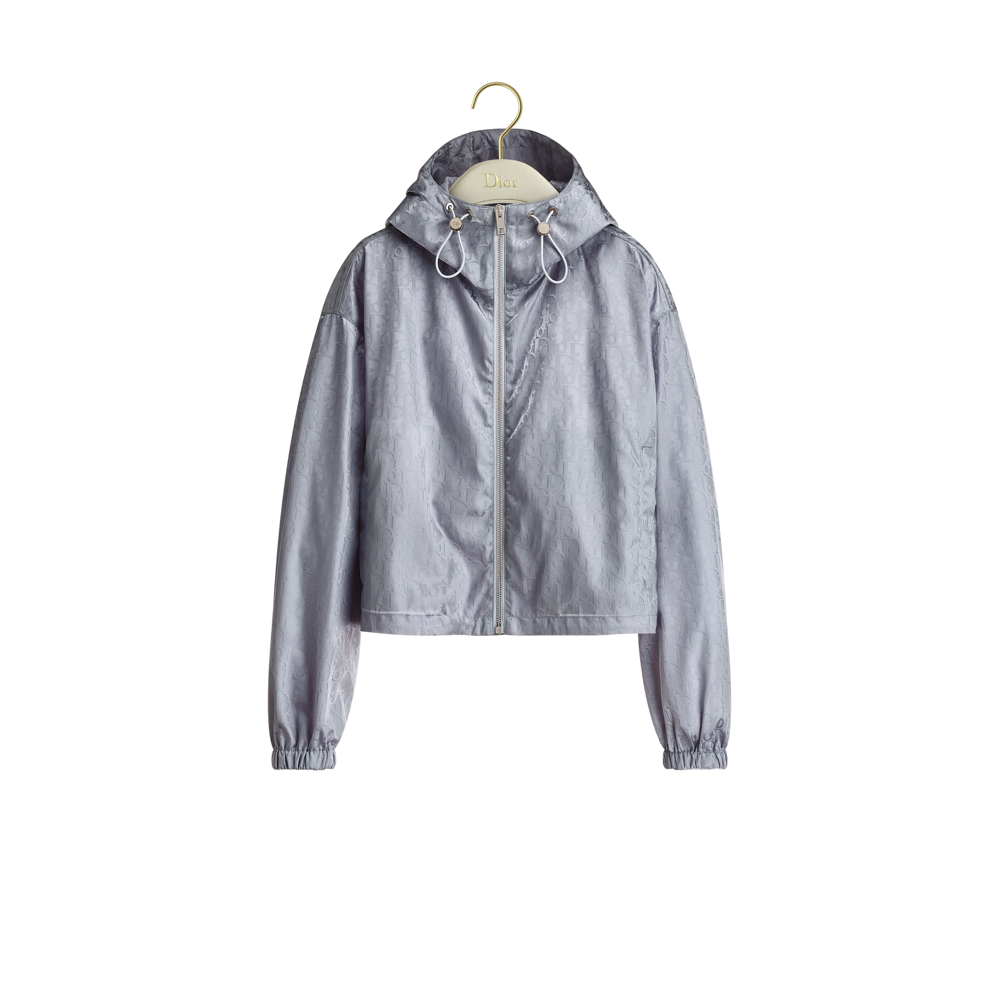  Gray Dior Oblique Technical Taffeta