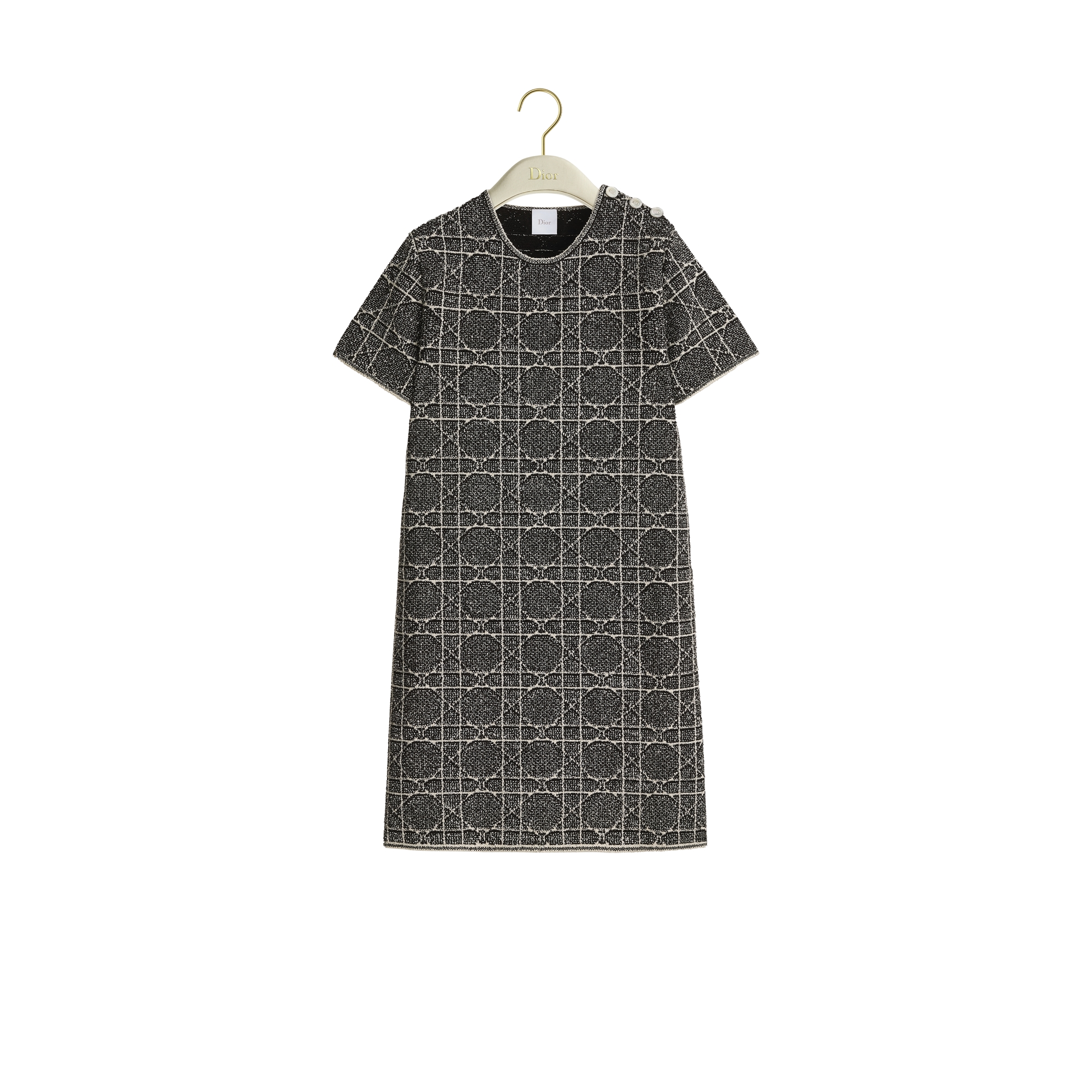 Christian Dior 現行タグ レースライン コットンシルク混ワンピース Christian Dior 現行タグ レースライン コットンシルク混ワンピース