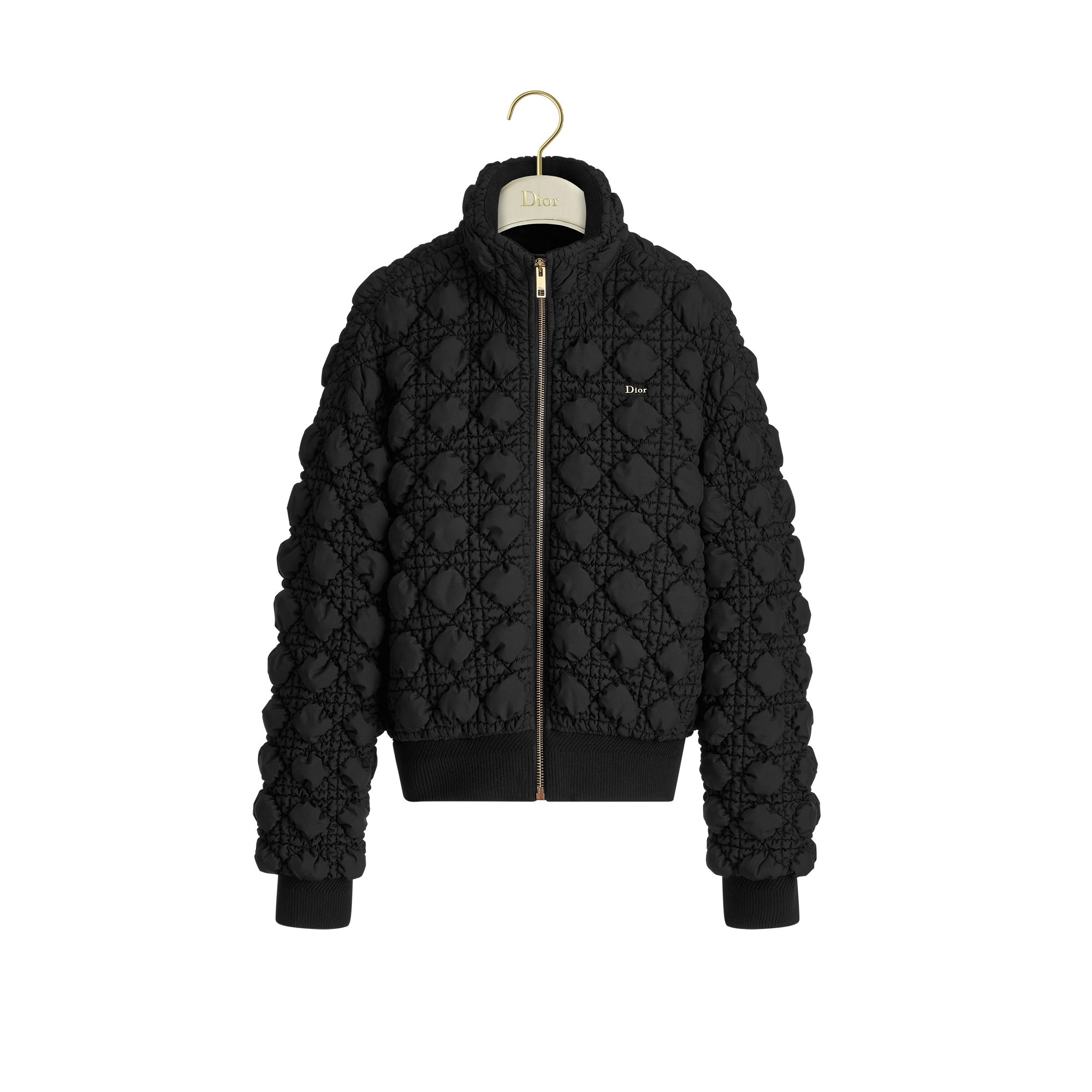 Zipped Macrocannage Jacket Black Quilted Technical Fabric | DIOR