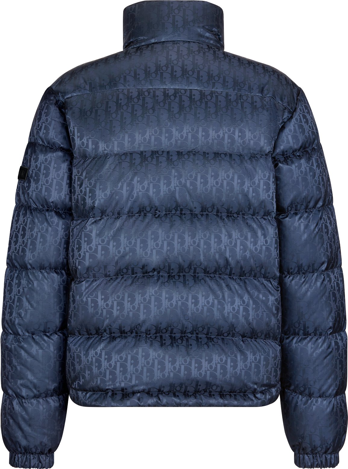 Dior Oblique Down Jacket Back view