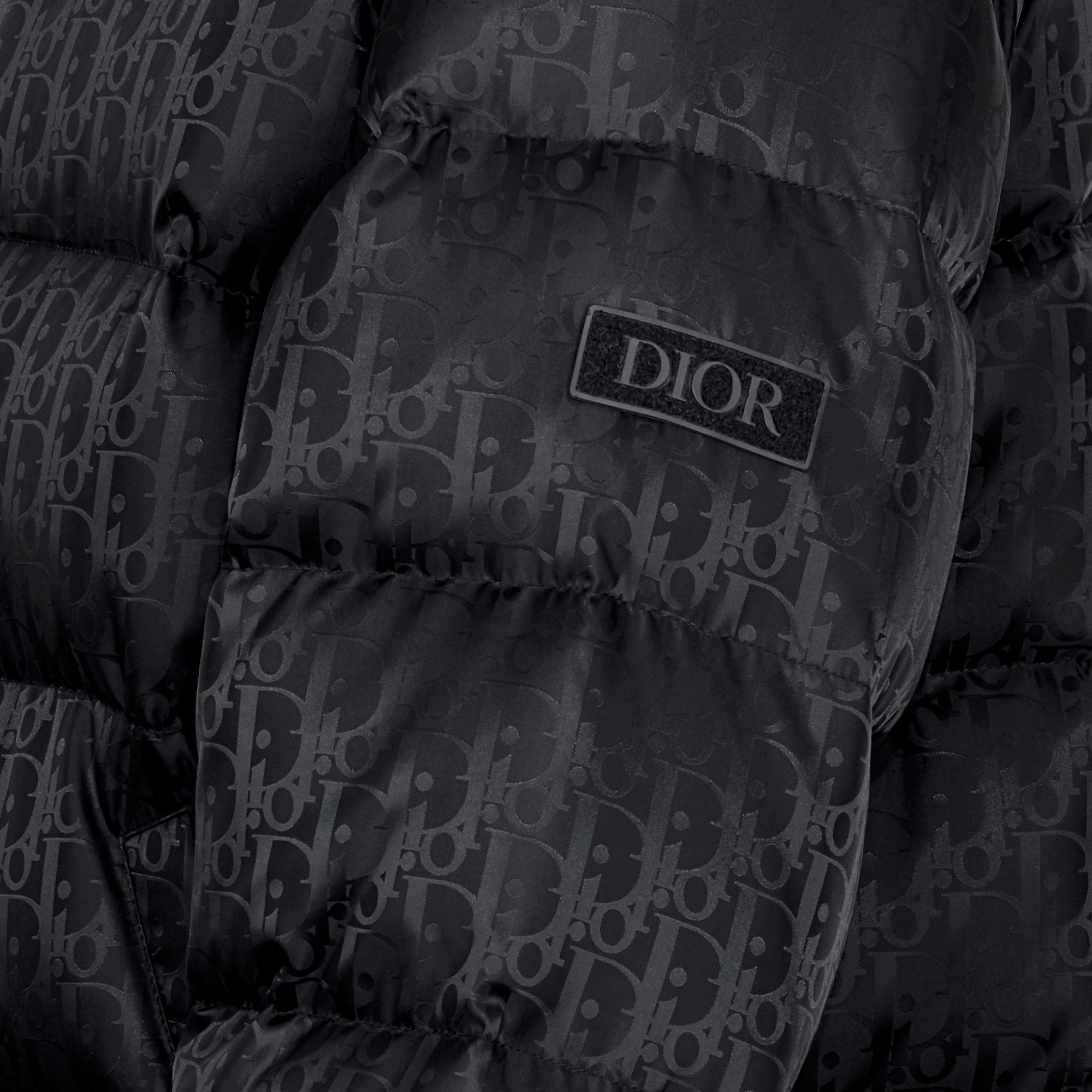 Dior Oblique Down Jacket