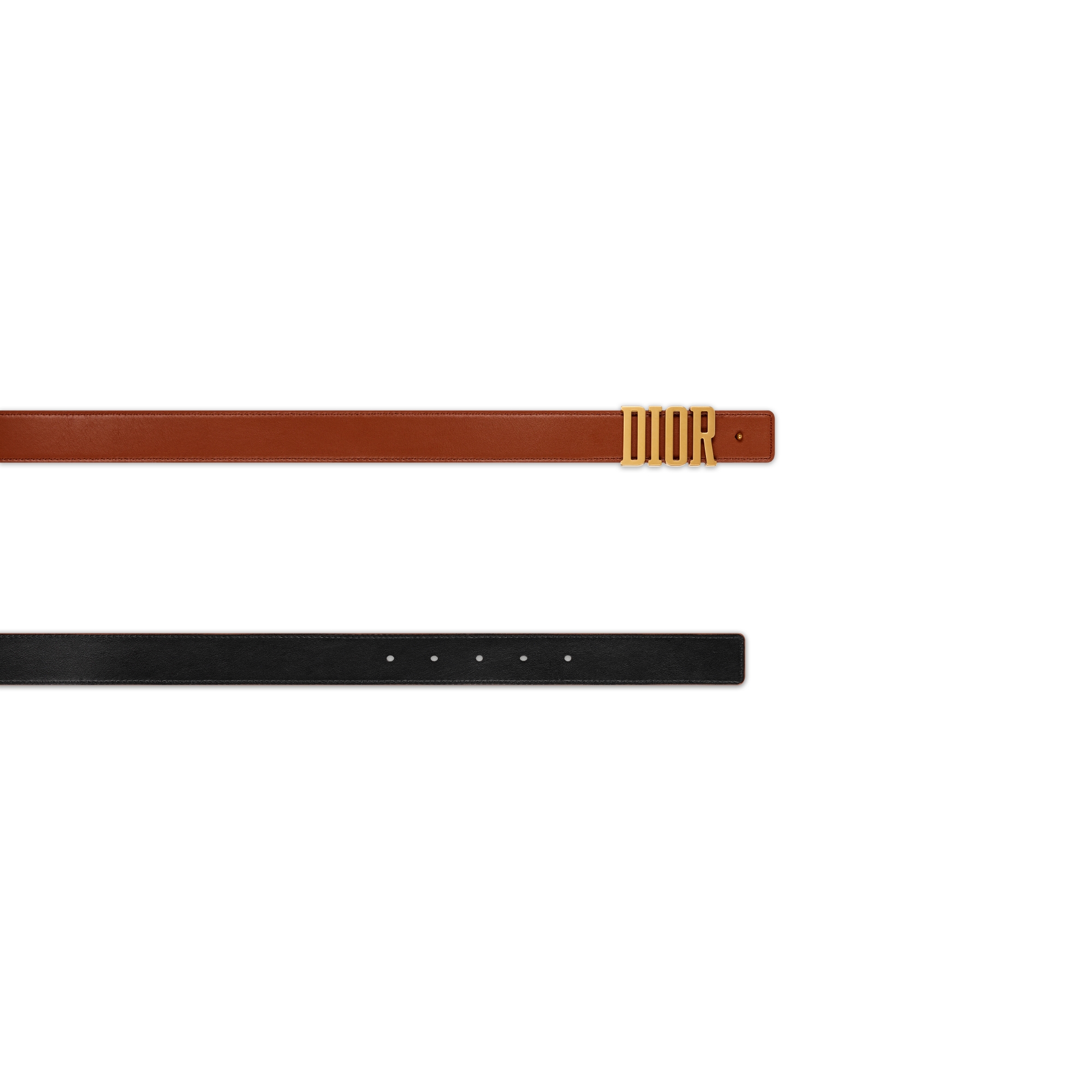 D-Fence Reversible Belt