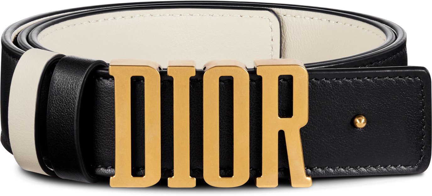 Dior d fence outlet