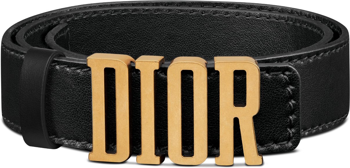 Dior d fence belt store