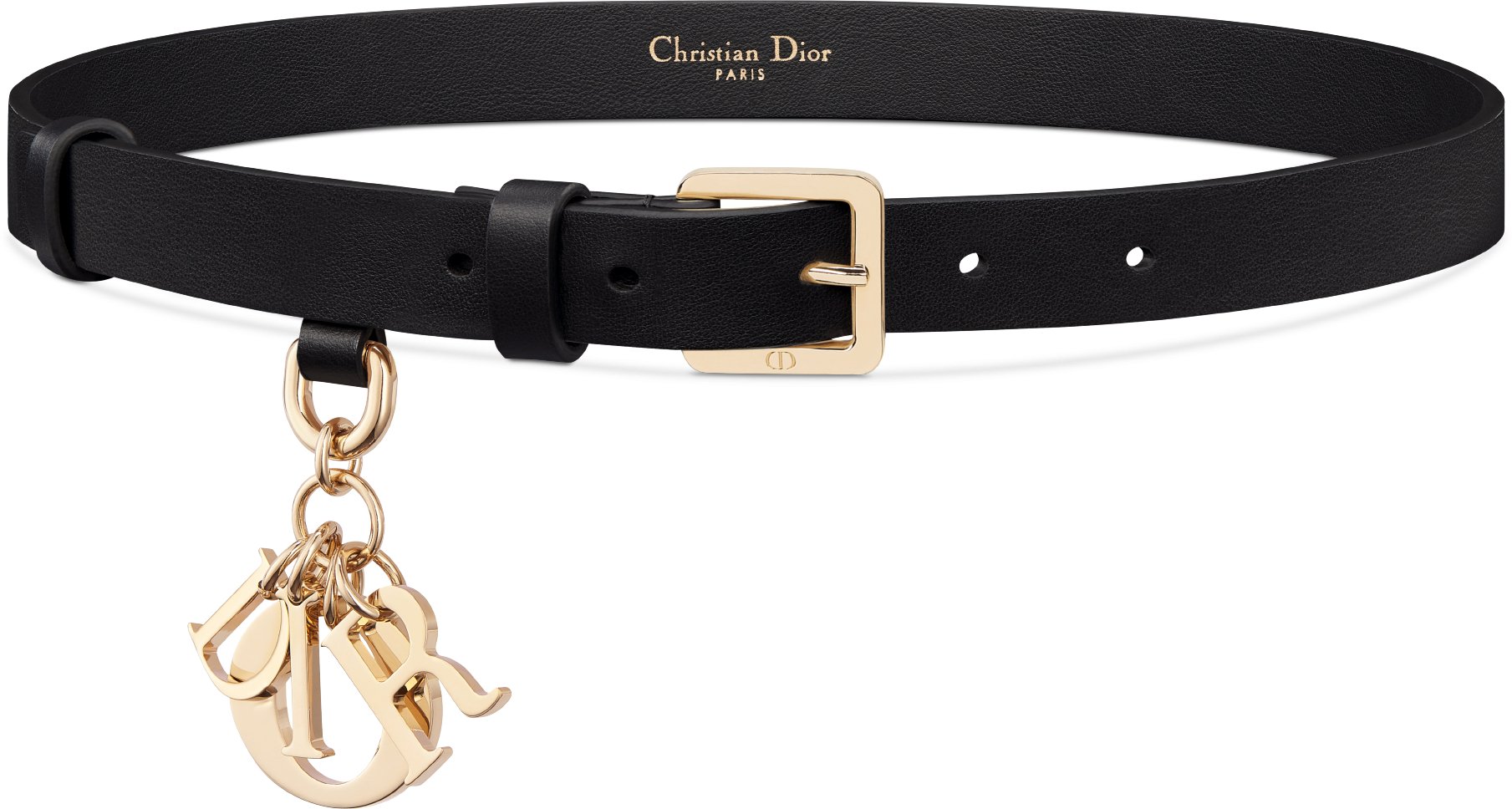 Womens dior belt discount