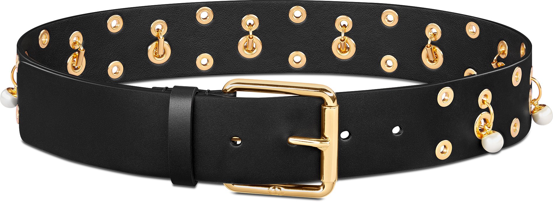 Diorevolt Belt Front view Front view