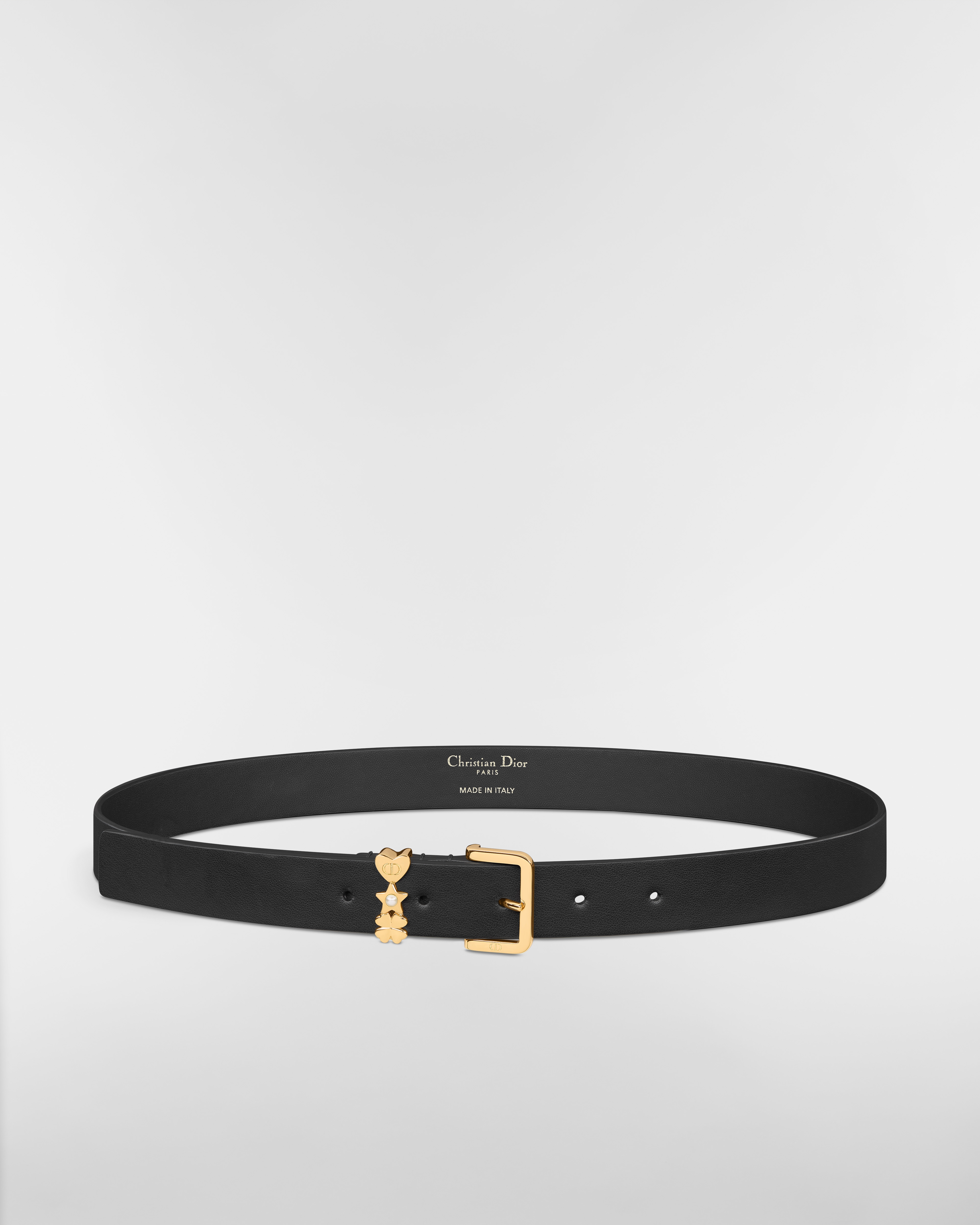 Lucky Dior Loop Belt Black Smooth Calfskin, 25 MM E01