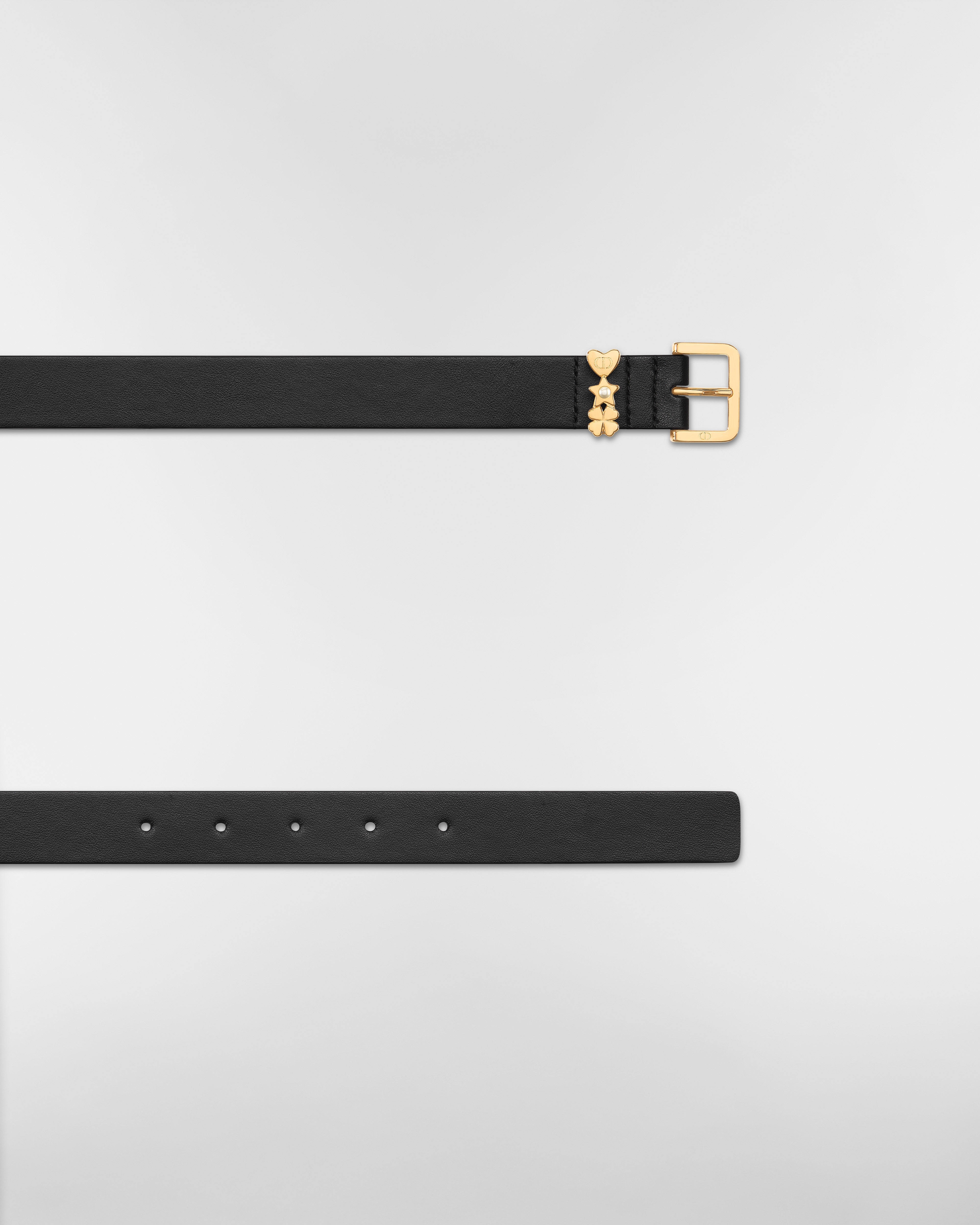 Lucky Dior Loop Belt Black Smooth Calfskin, 25 MM E06