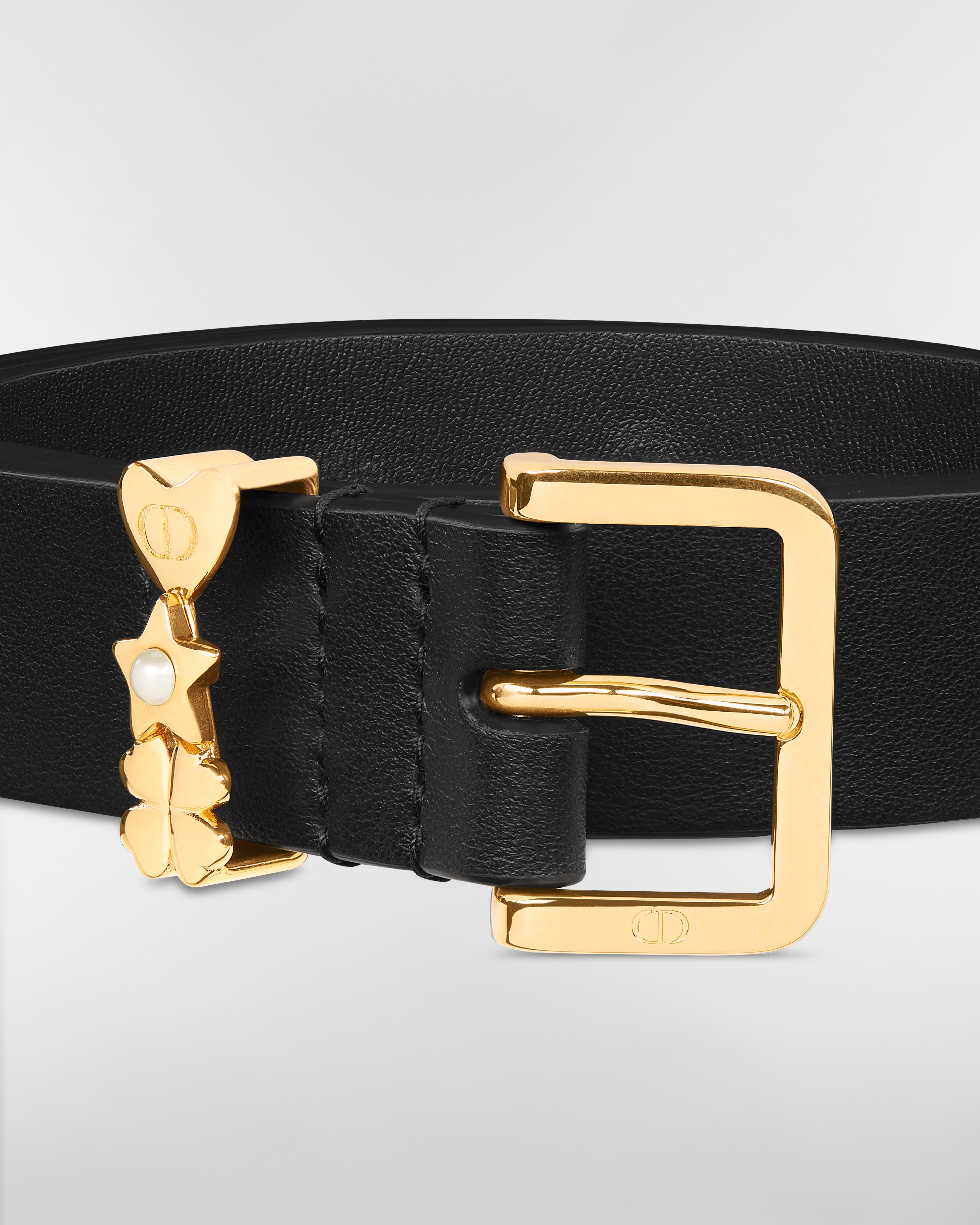 Lucky Dior Loop Belt Black Smooth Calfskin, 25 MM E09