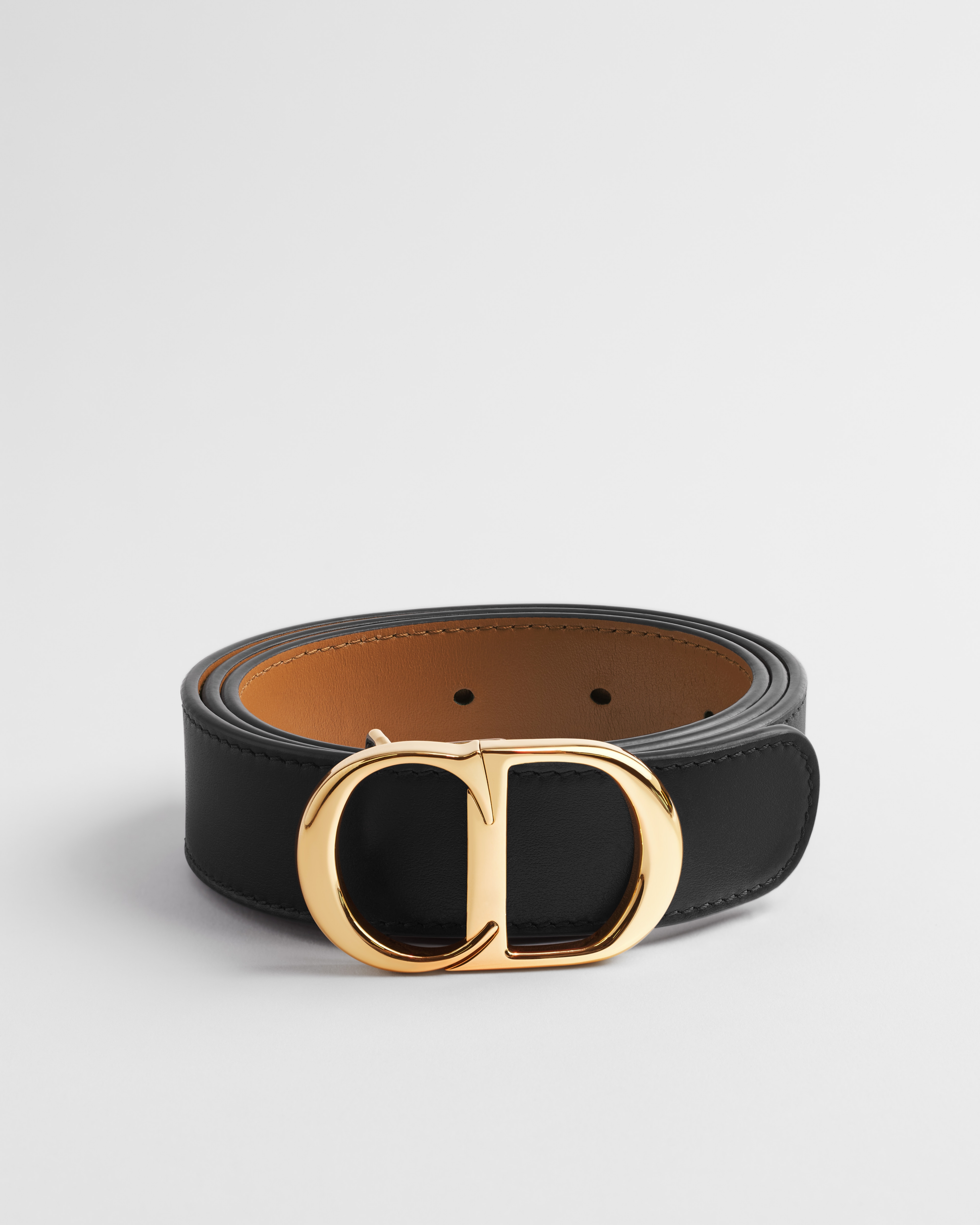 Reversible CD Icon Belt