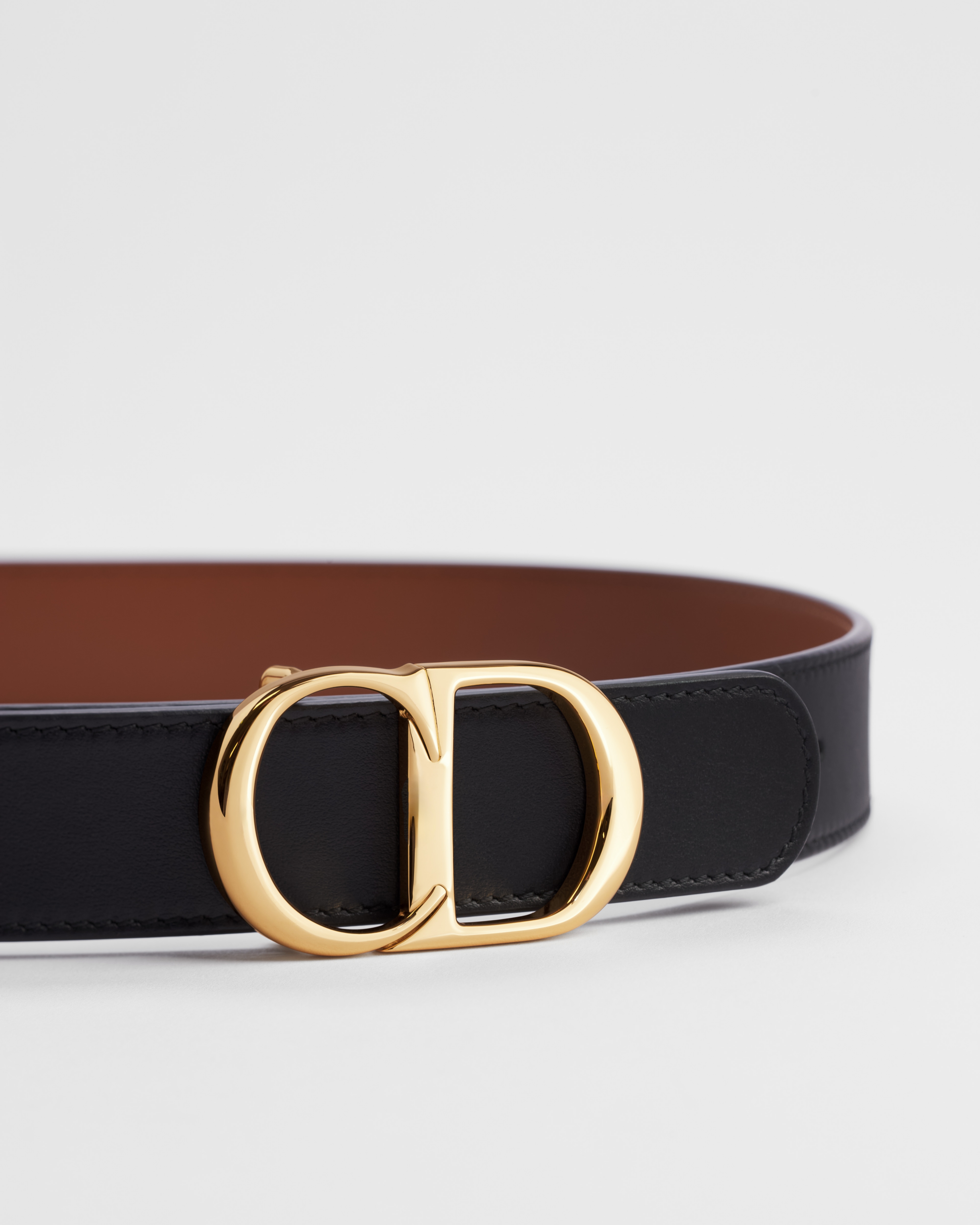 Reversible CD Icon Belt