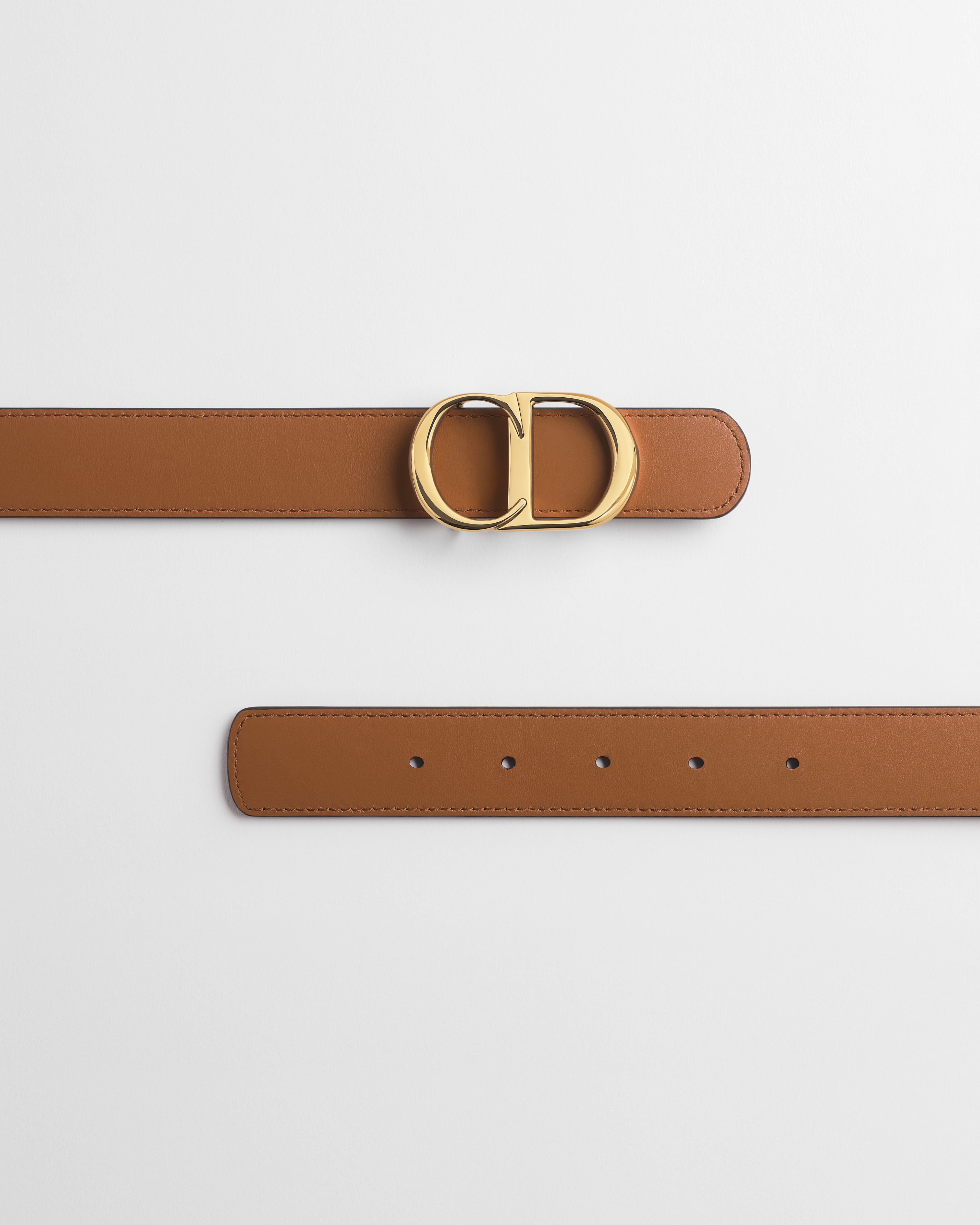 Reversible CD Icon Belt